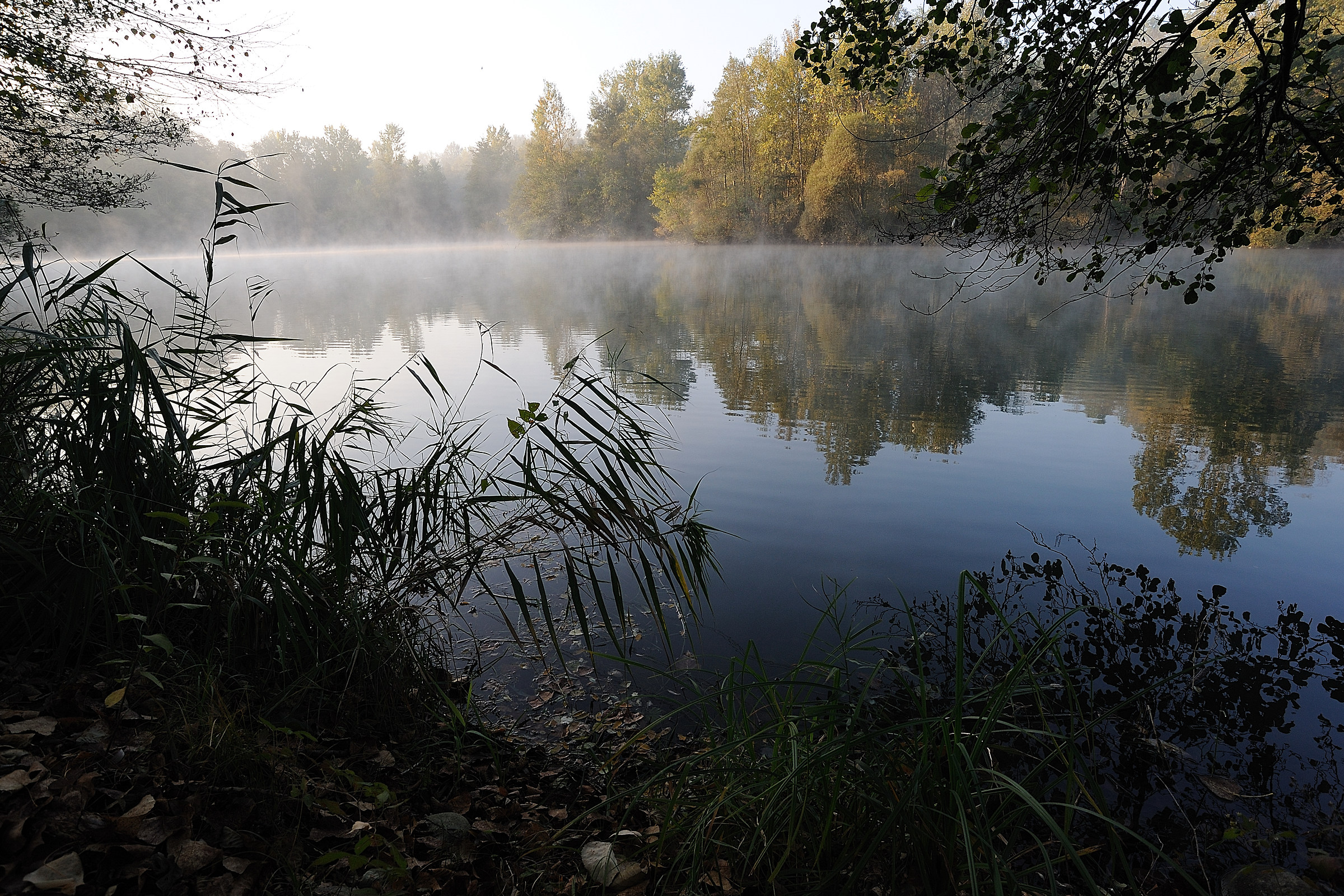 Laghetto all' Area delle Ginestre di Oleggio