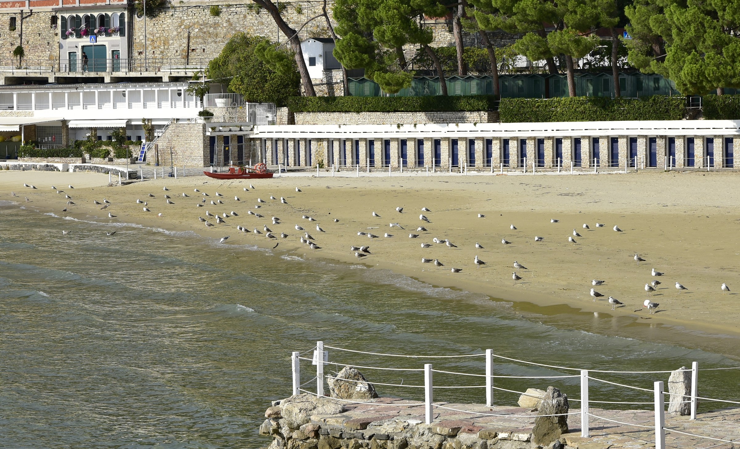 Ora è il nostro turno....