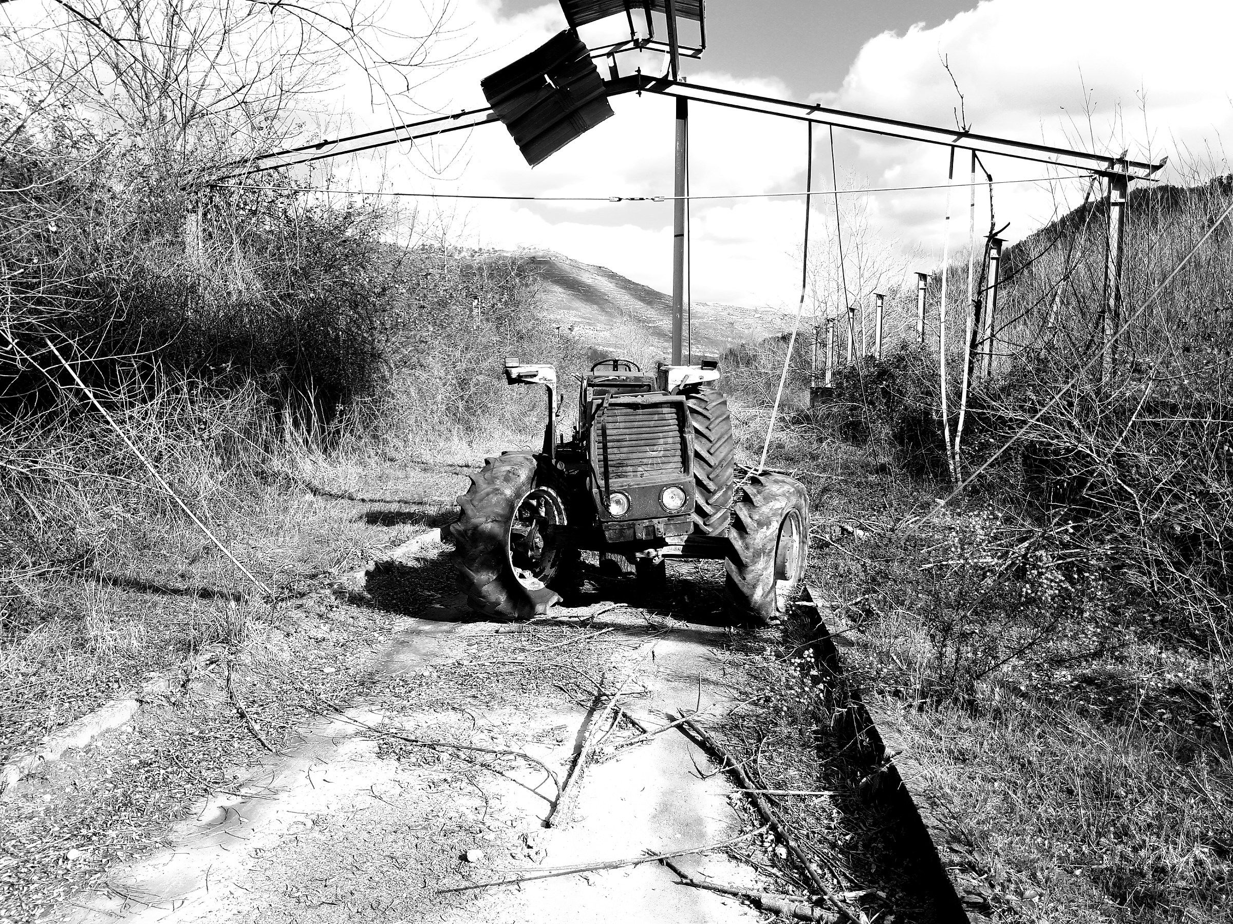 Ruralità e abbandono 2.....