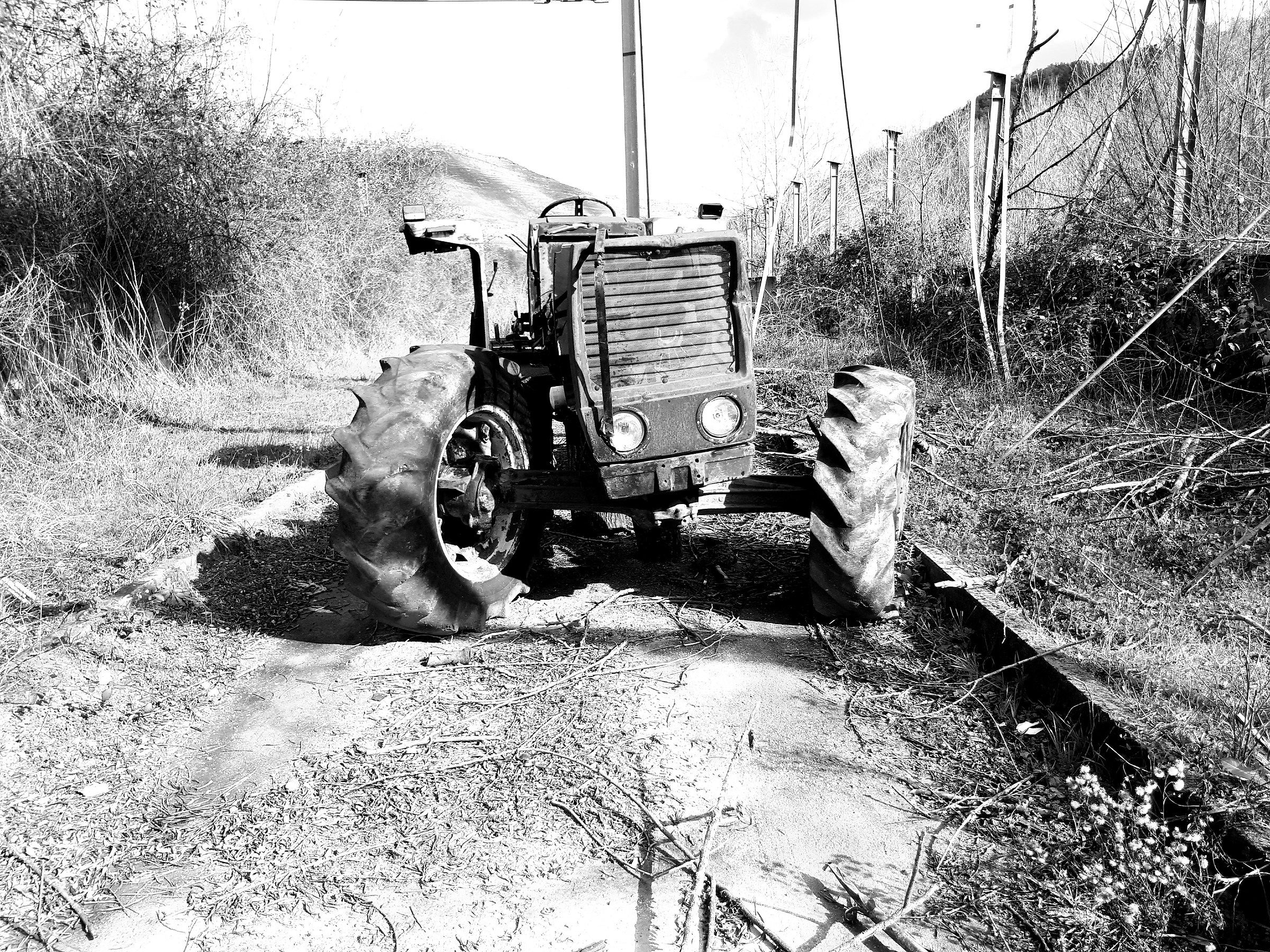 Rurality and abandonment 3 .....