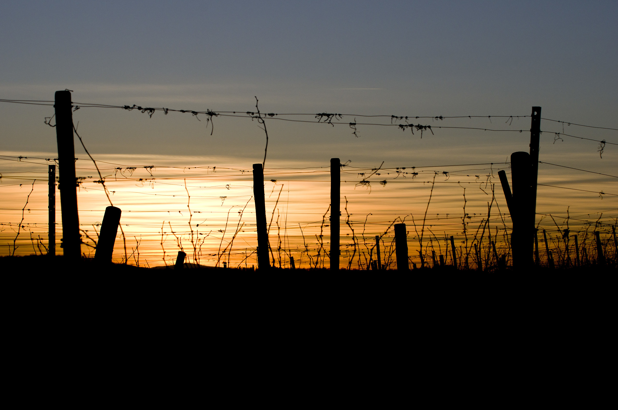 Colori del tramonto nel Chianti