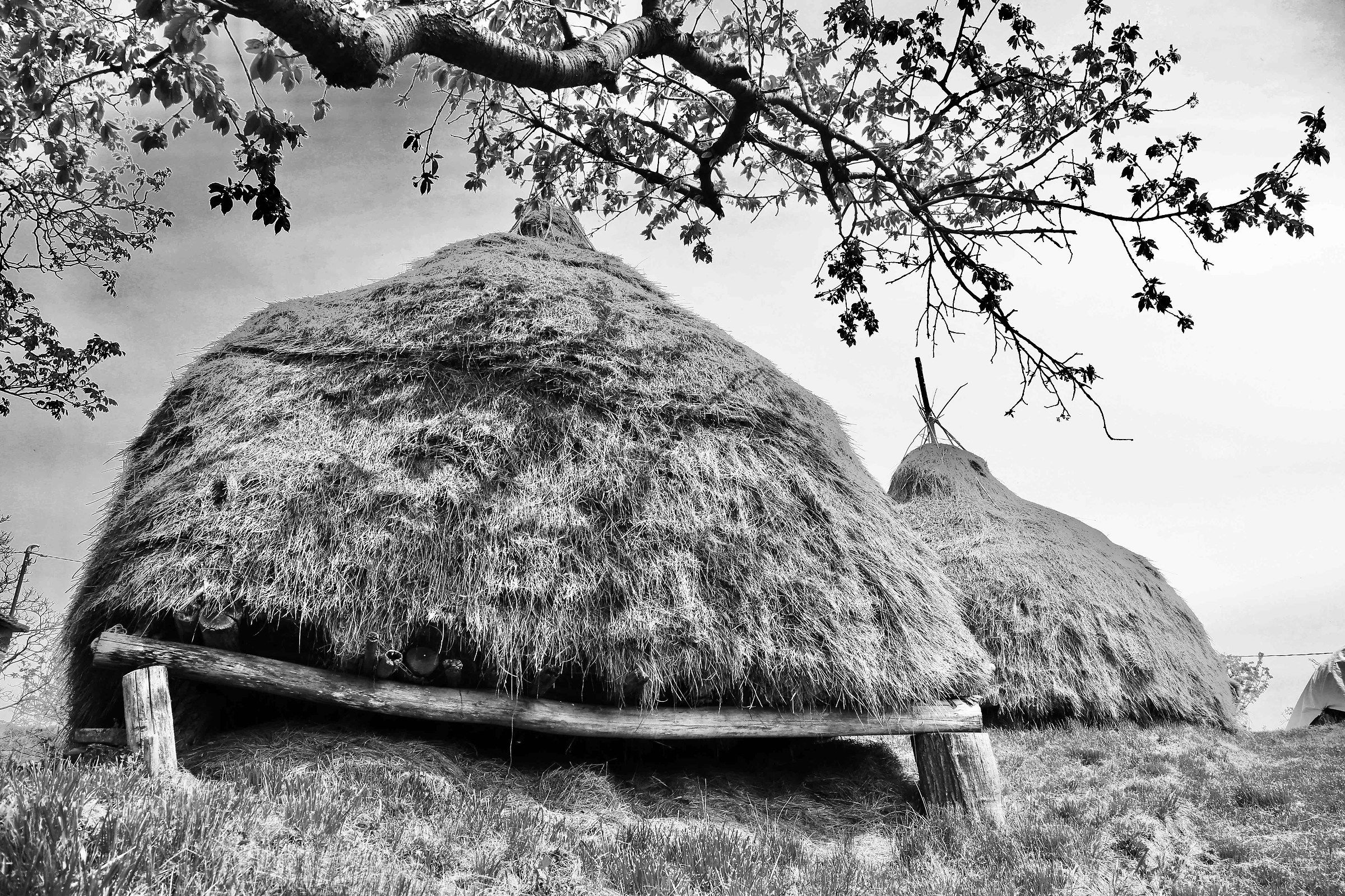 I pajè dei Galli (Castelletto Uzzone)