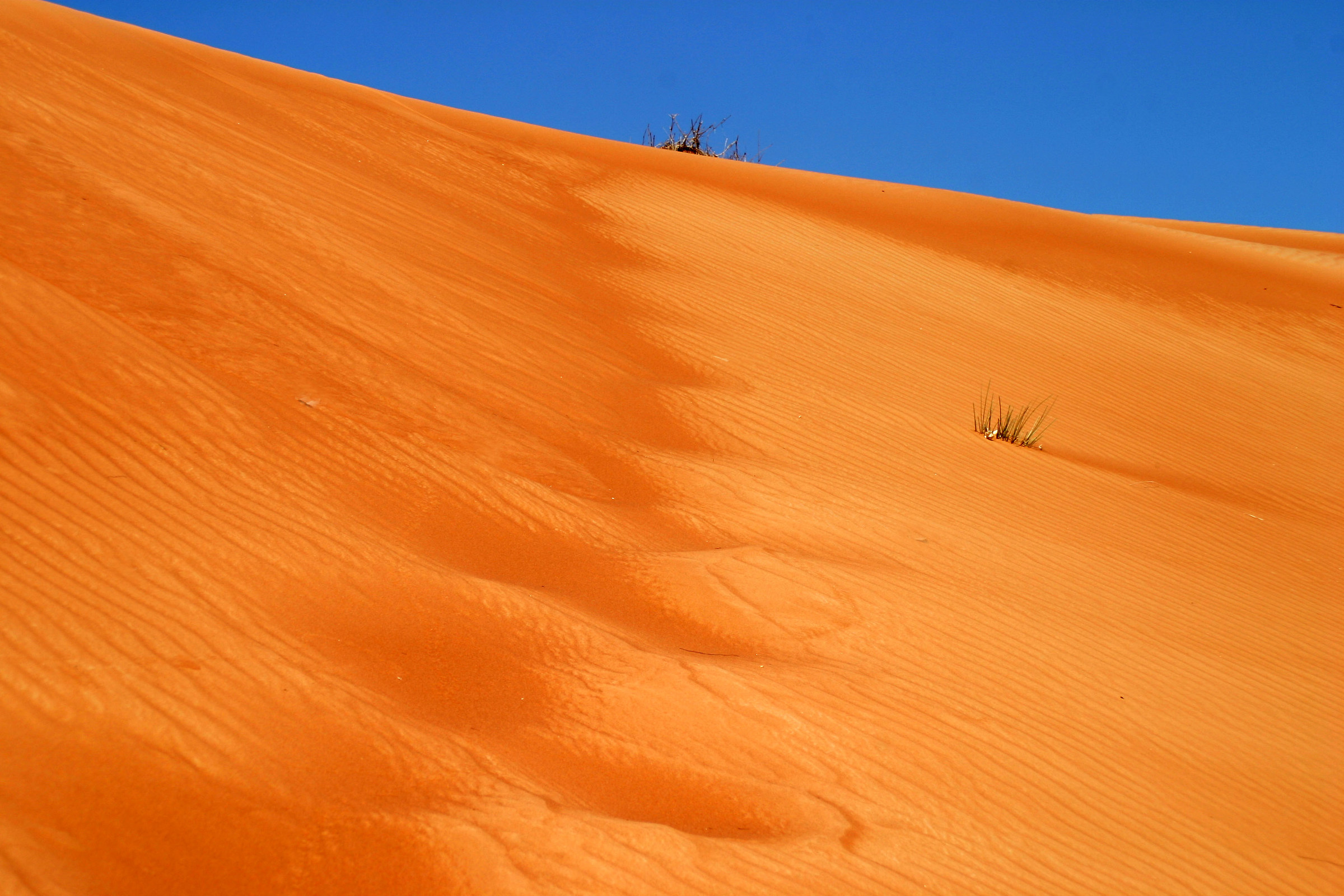 Deserto