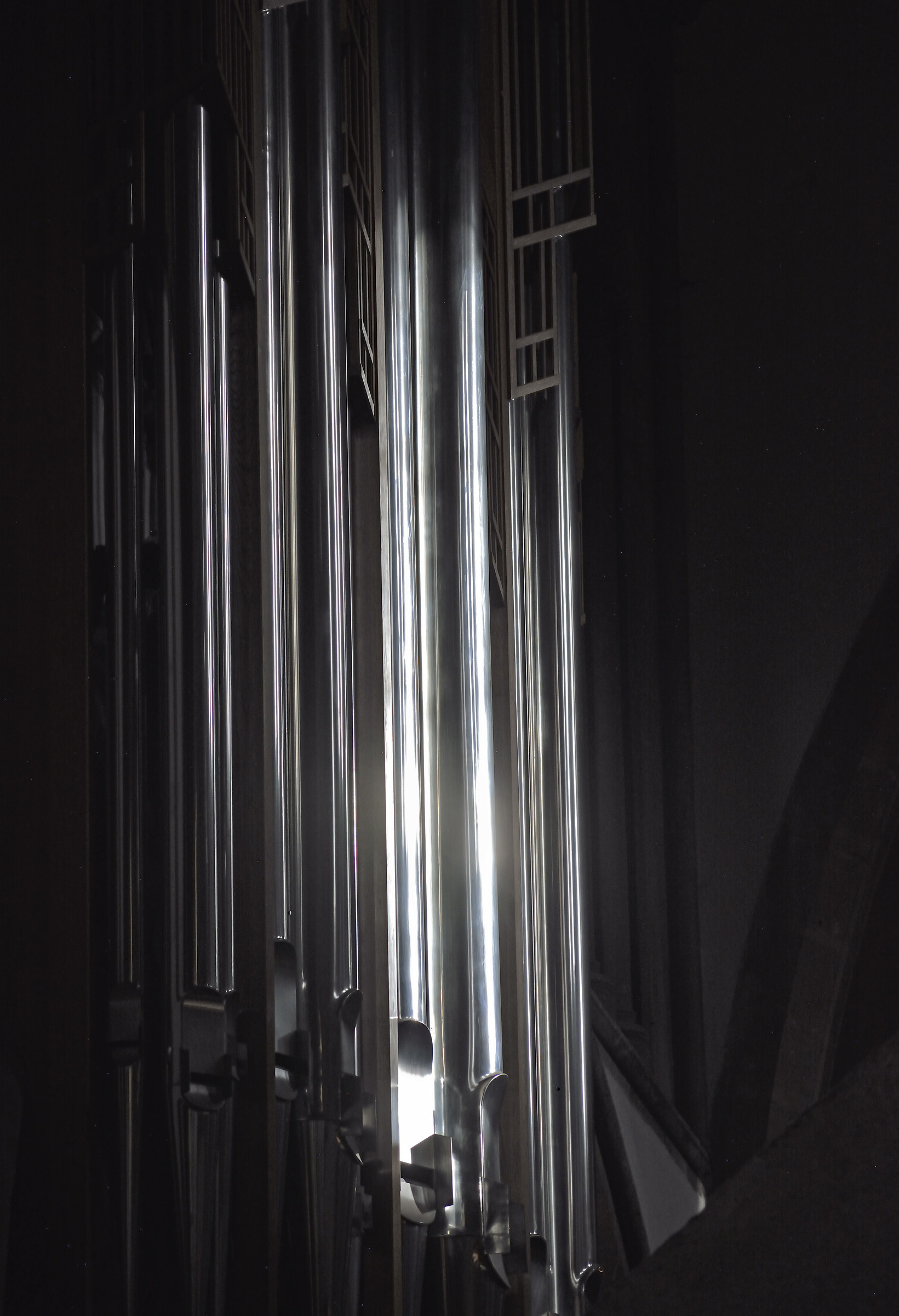 This is not a Black & White!