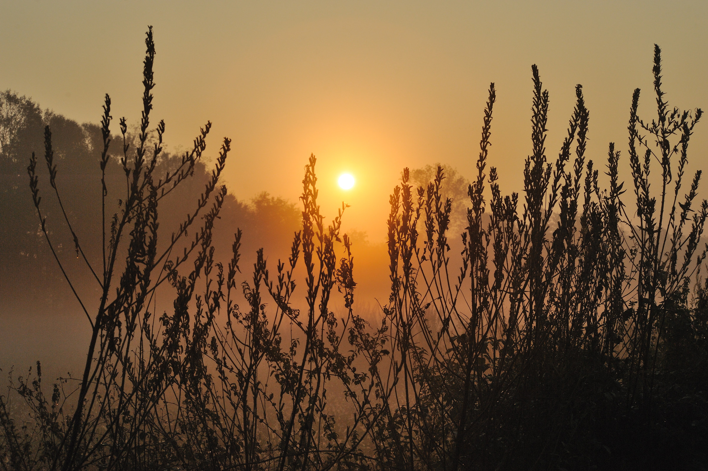 Sunrise at the Vecchio Mulino di Bellinzago