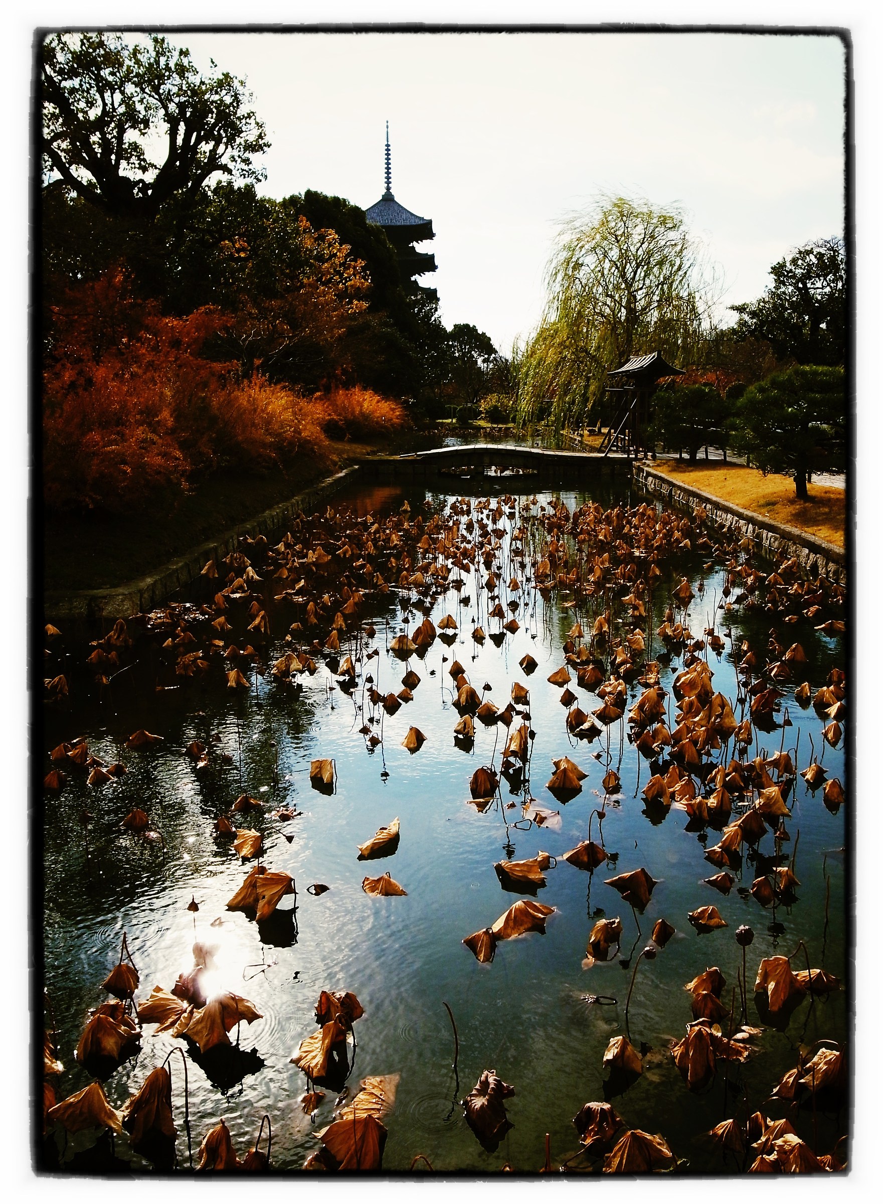 Kyoto - Temple's garden