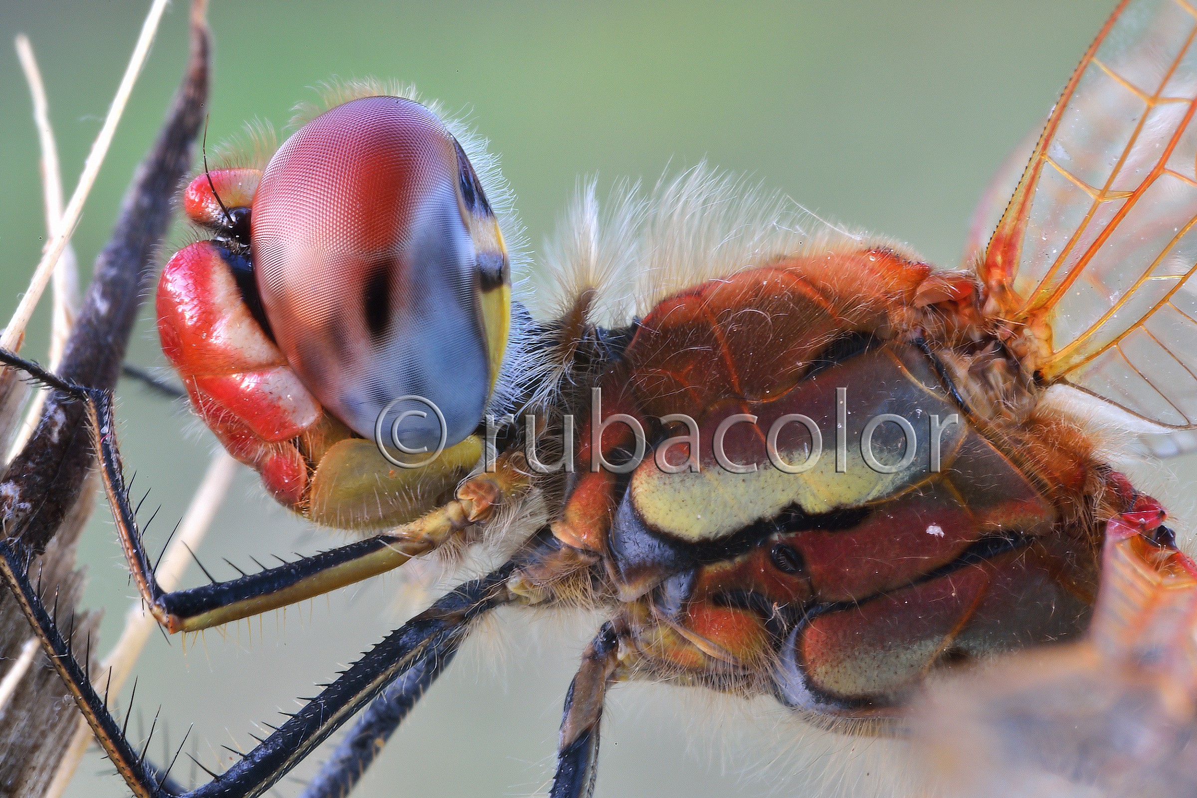 Ai confini della PDC