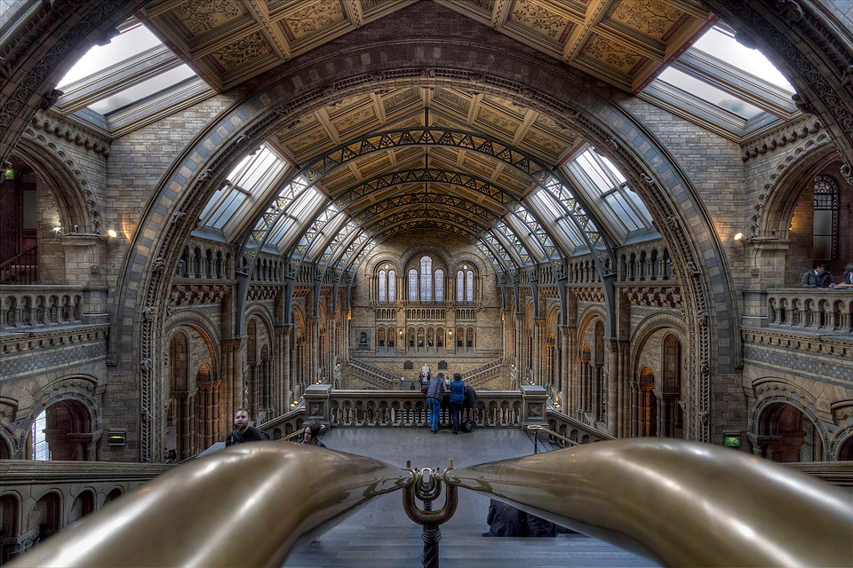 natural history museum london