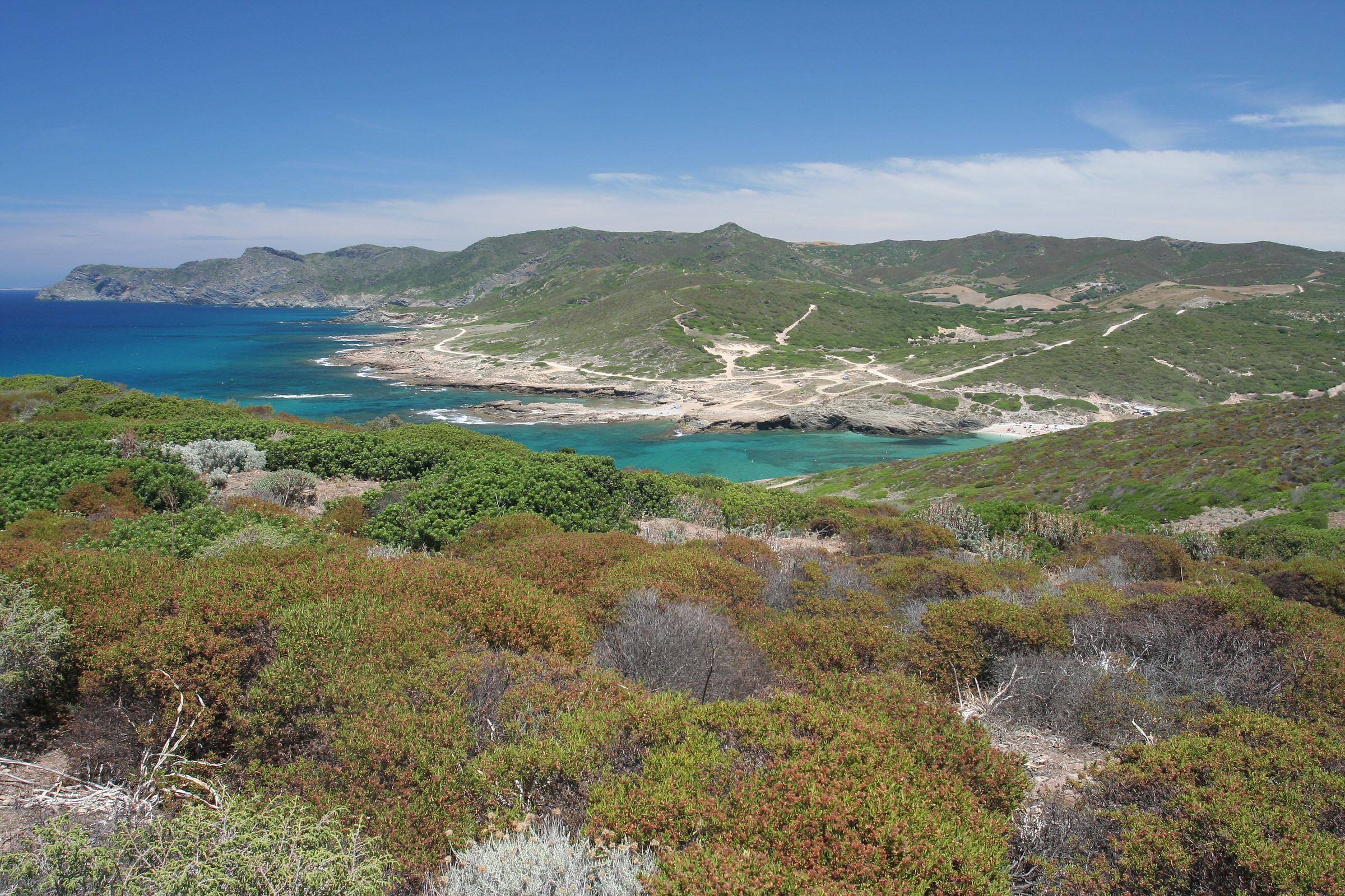 macchia mediterranea