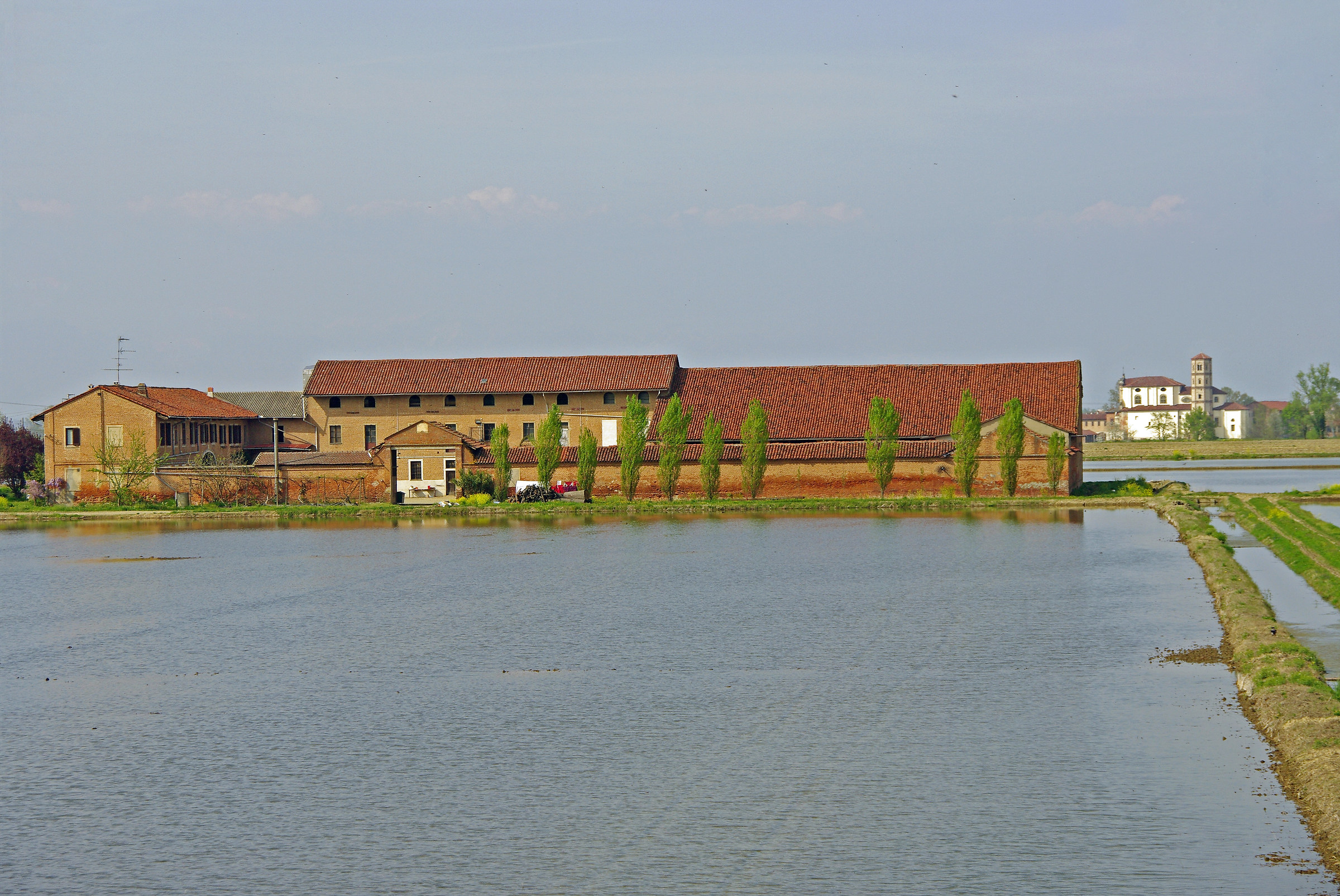 Vercellese: Cascina among the rice fields