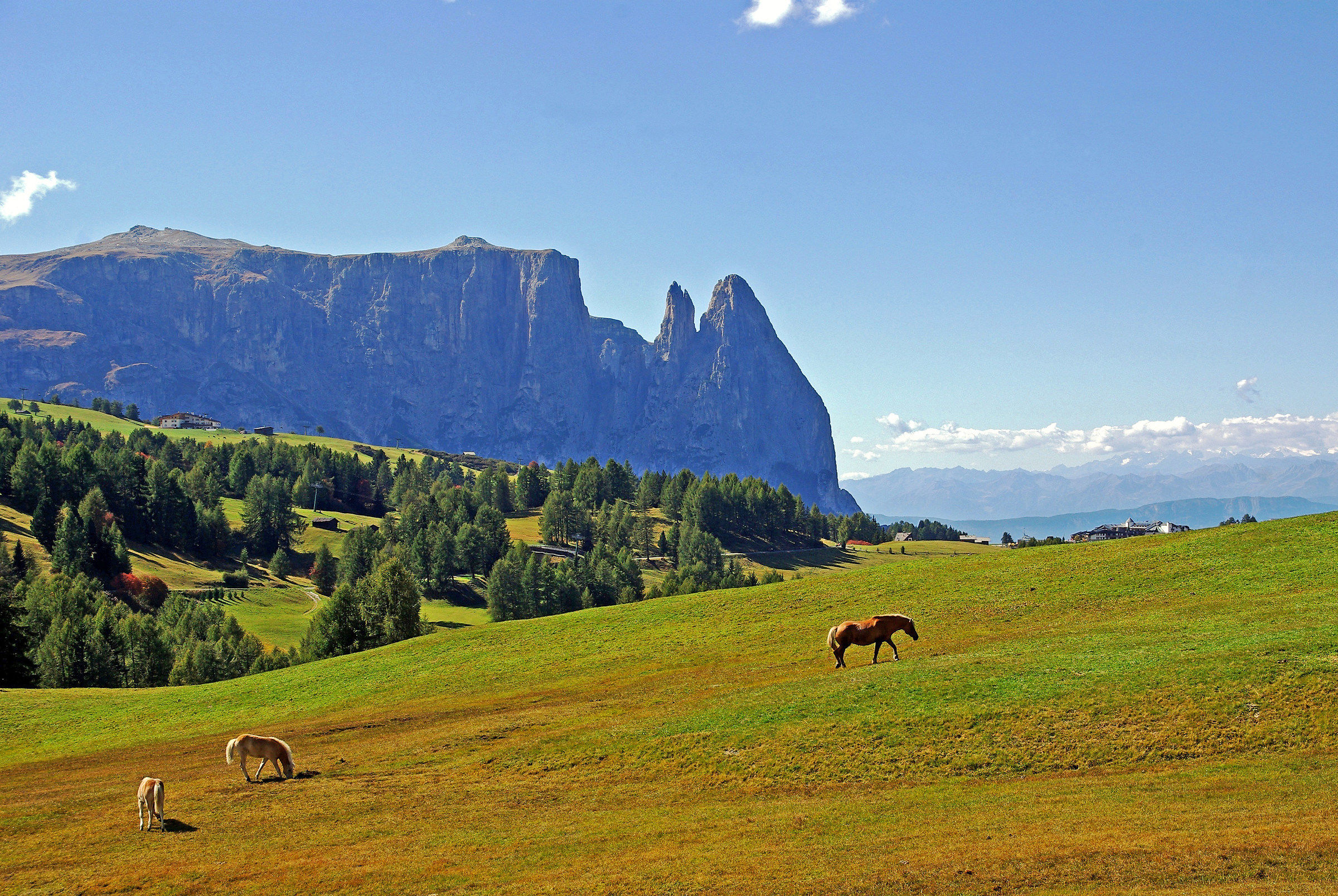 Alpe di Siusi: Vista sullo Sciliar