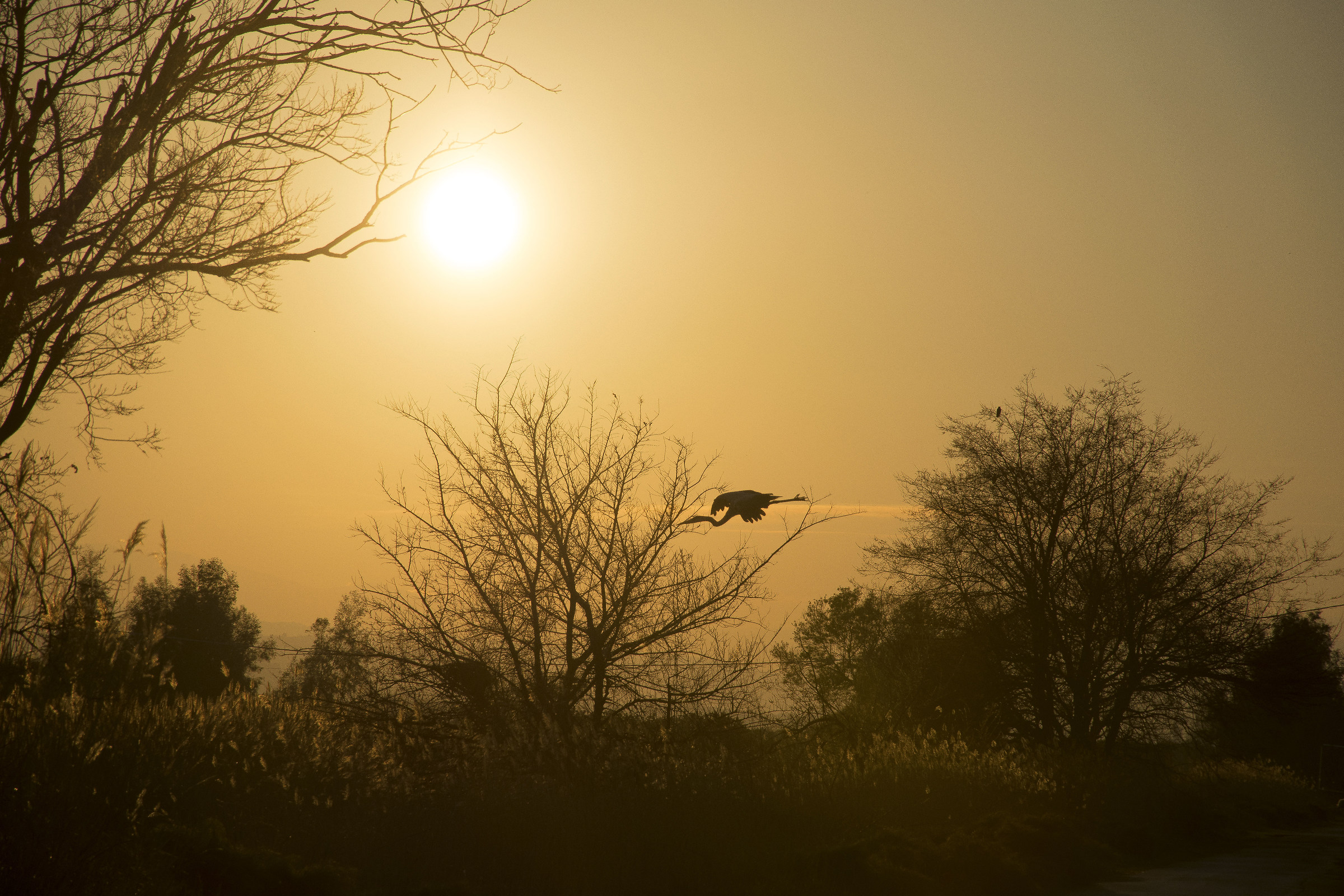 Cercando un tramonto