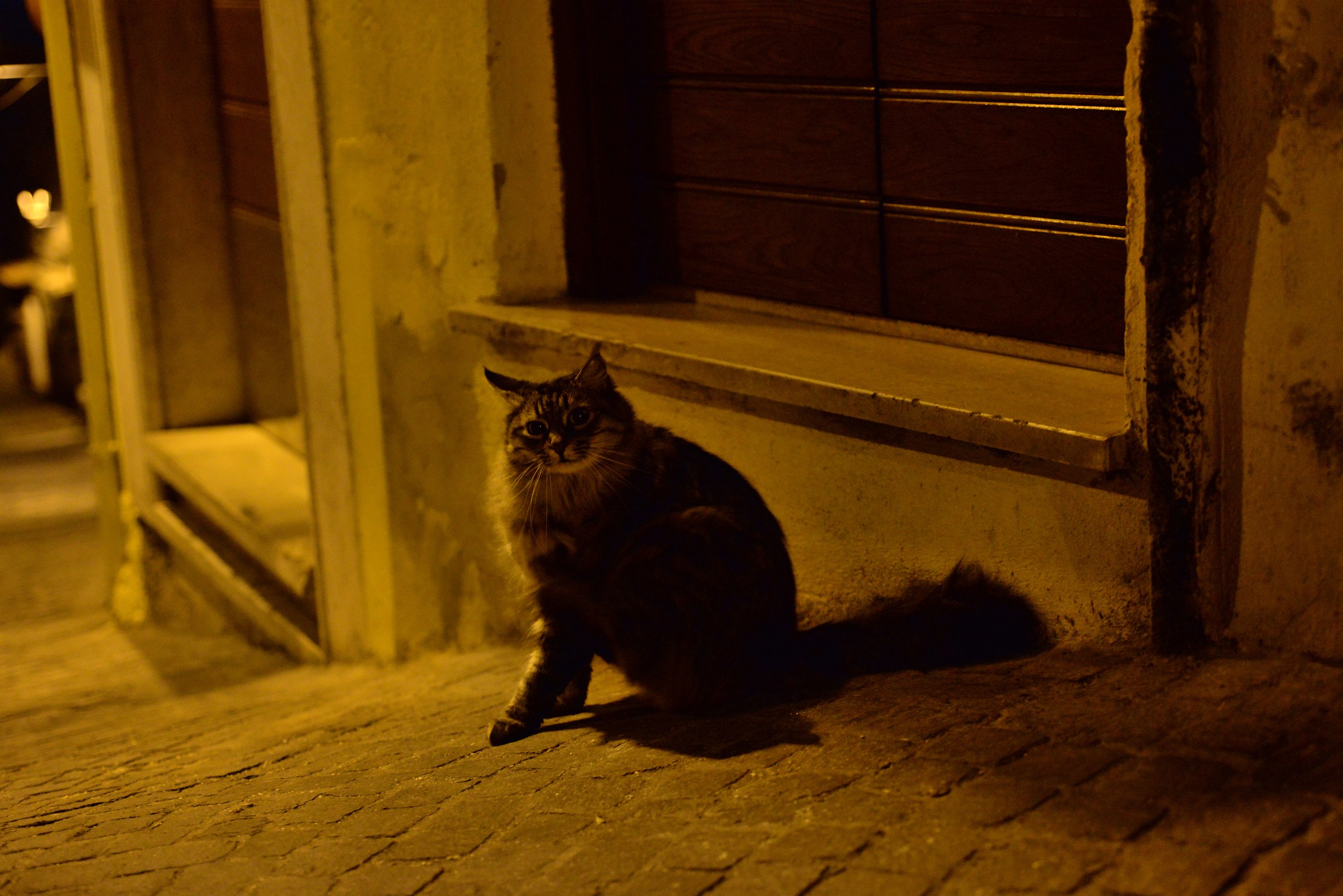 Incontri al crepuscolo