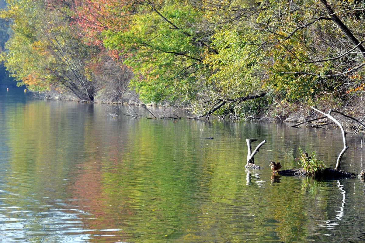 The Colors of Autumn