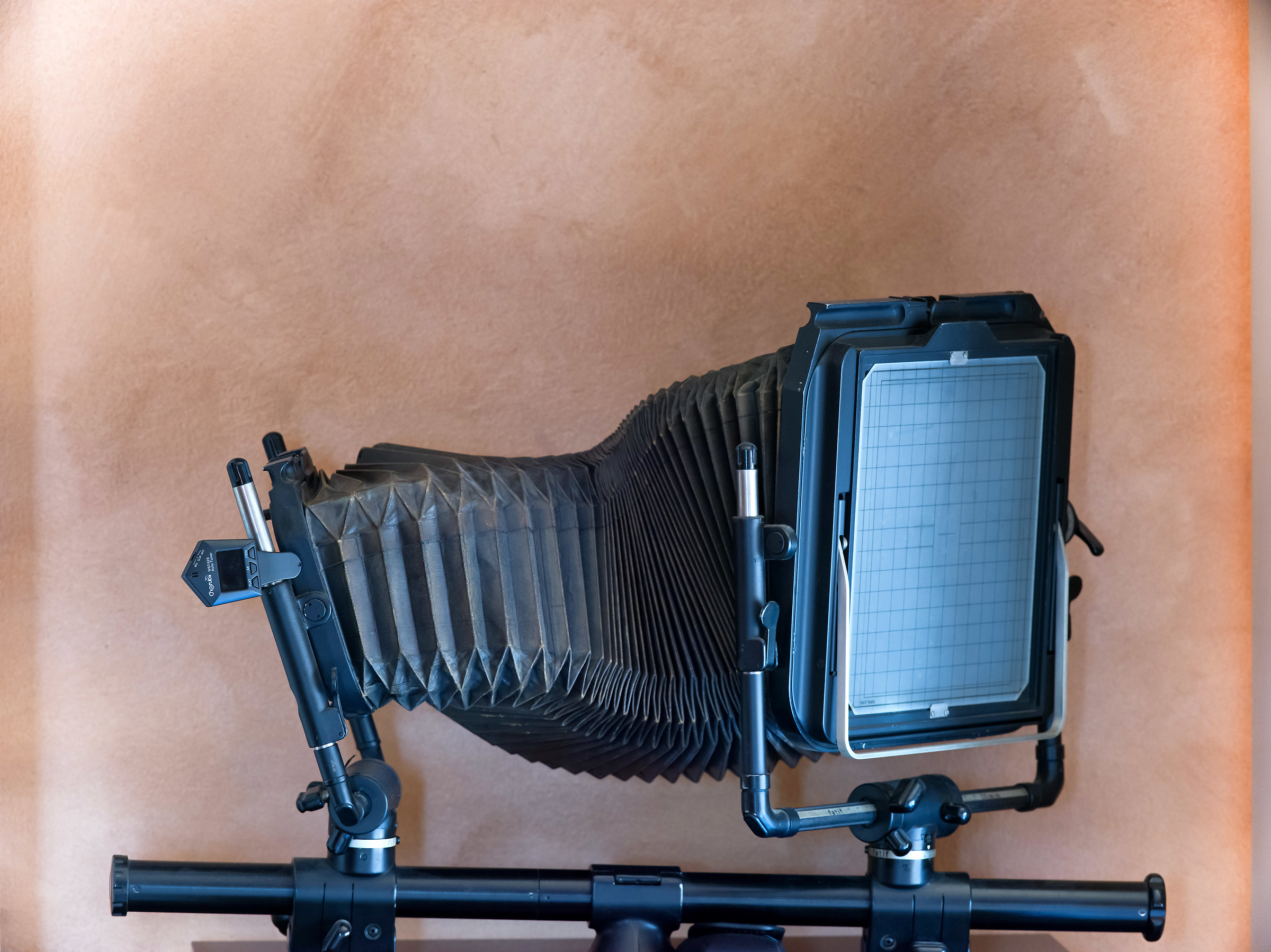 3200 Iso Hasselblad X1D with Canon 300 2.8 IS II