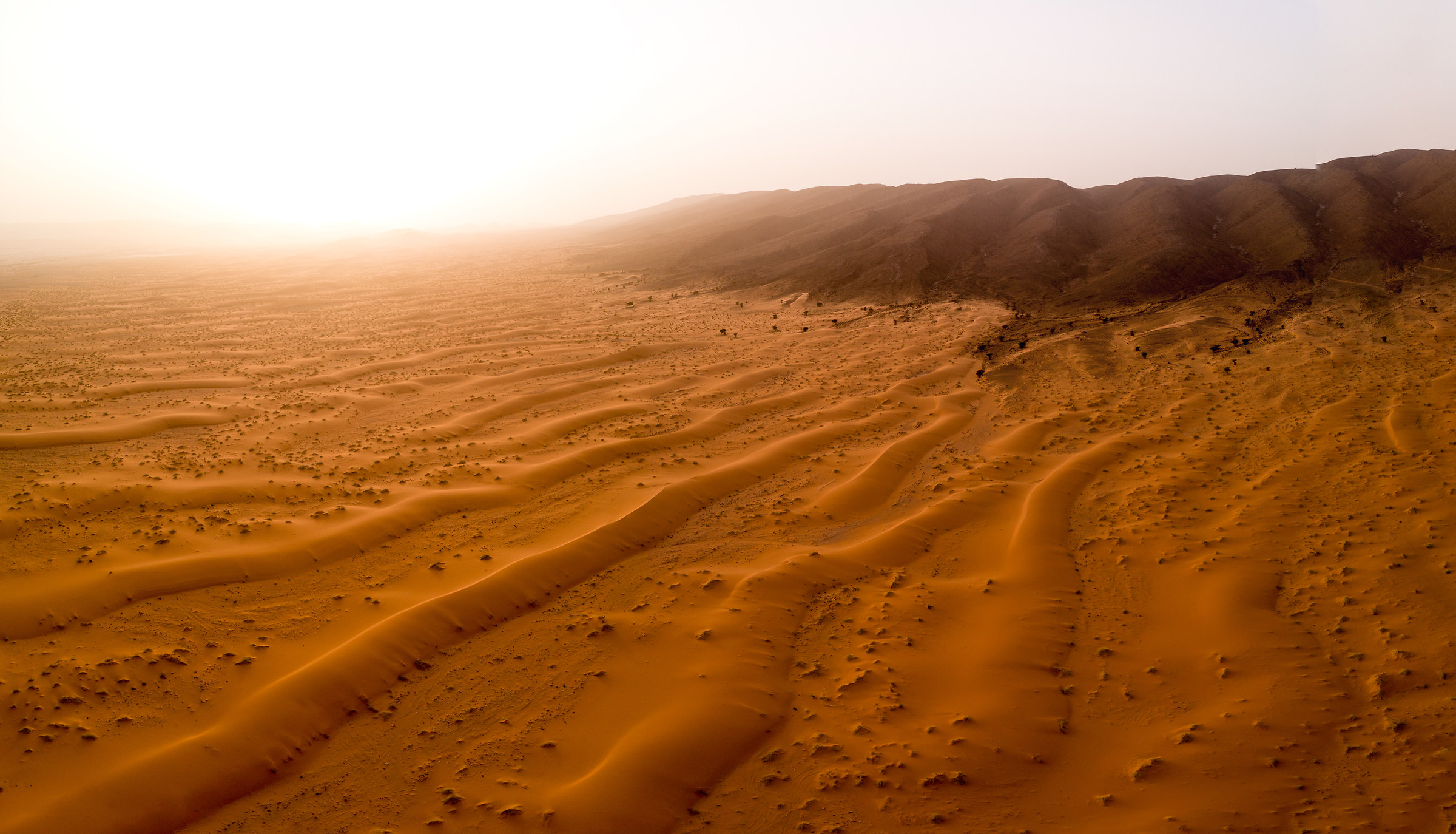 lost in the golden desert