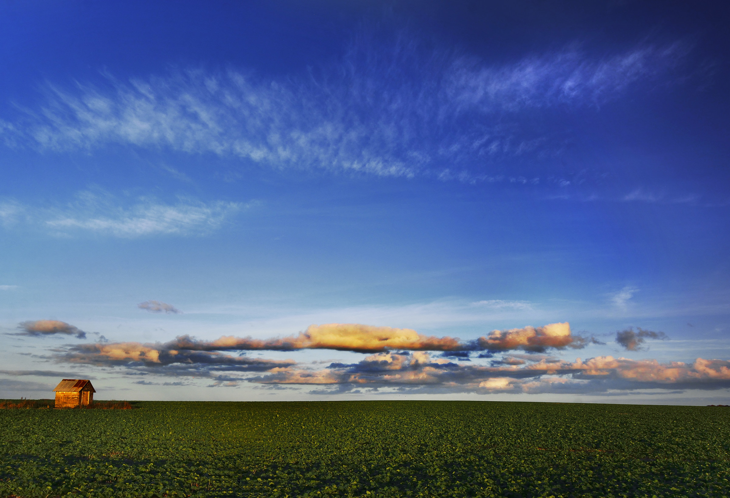 La piccola capanna nel grande campo di cavoli