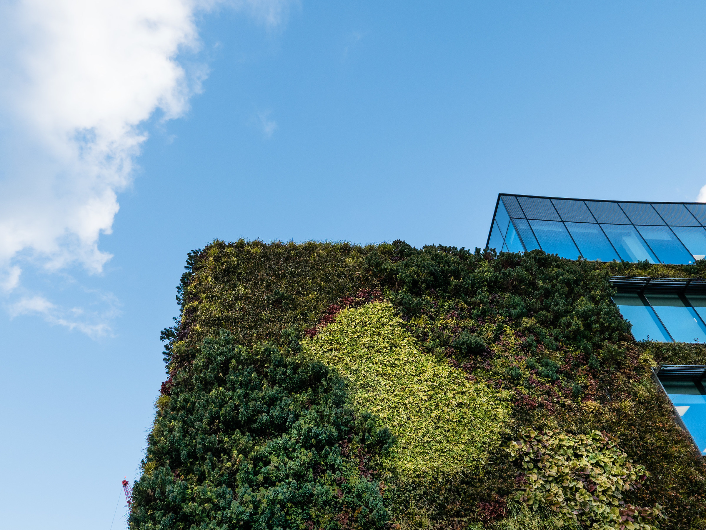 Un Bosco Verticale a Camden