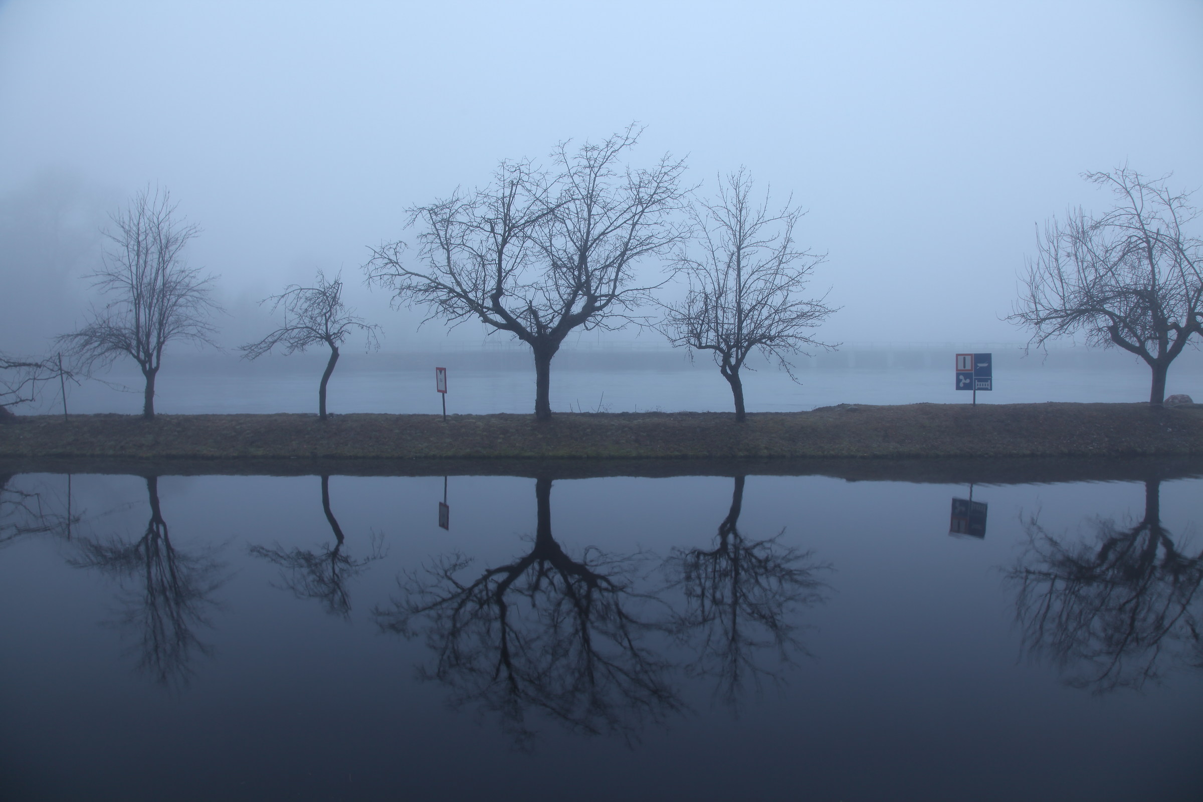 Riflessi nella nebbia