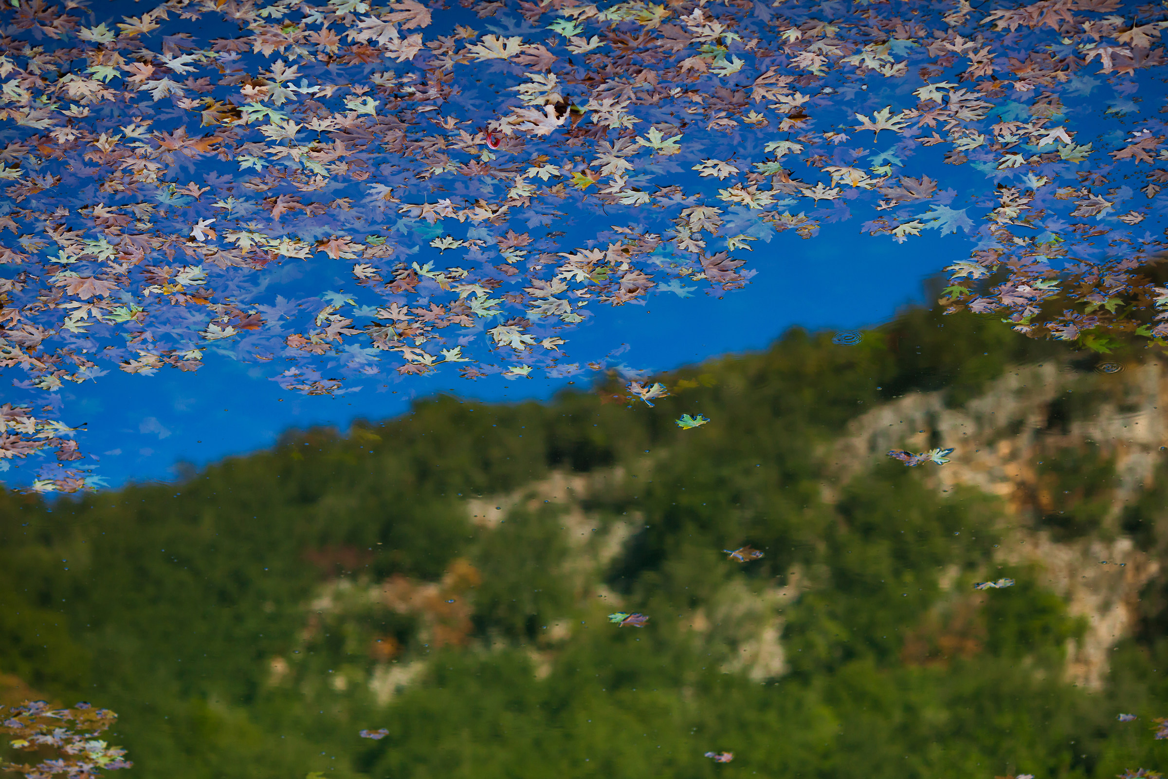 Reflections with star leafs
