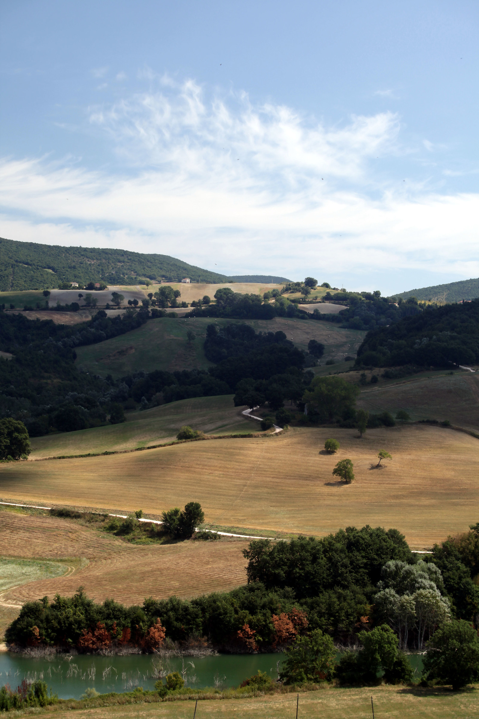 Campagna Marchigiana