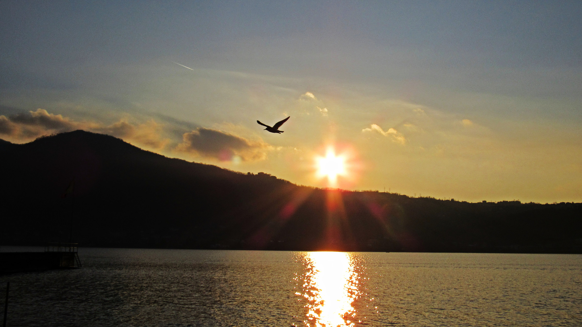 lonely flight at sunset