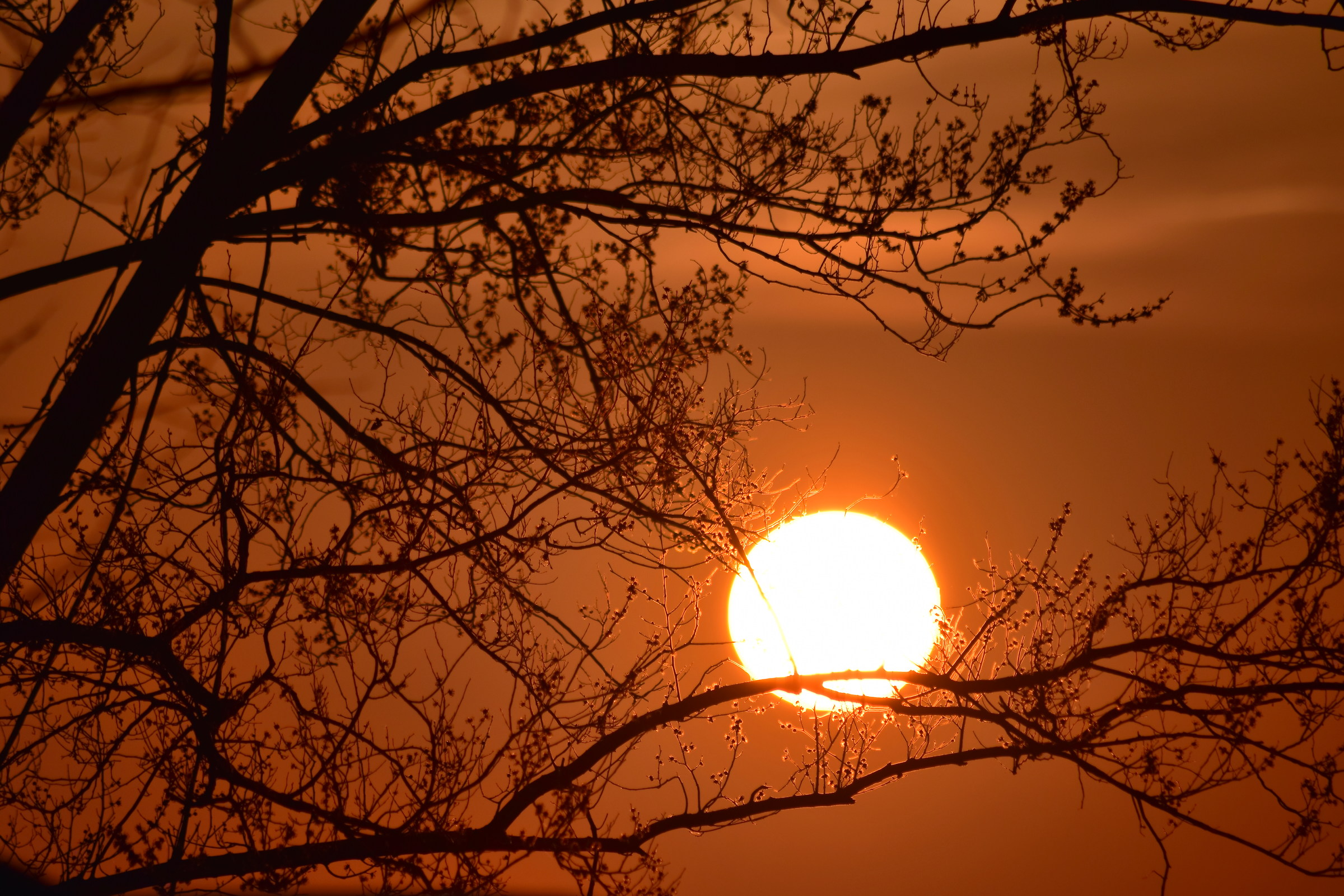 In the shadow of the last sun