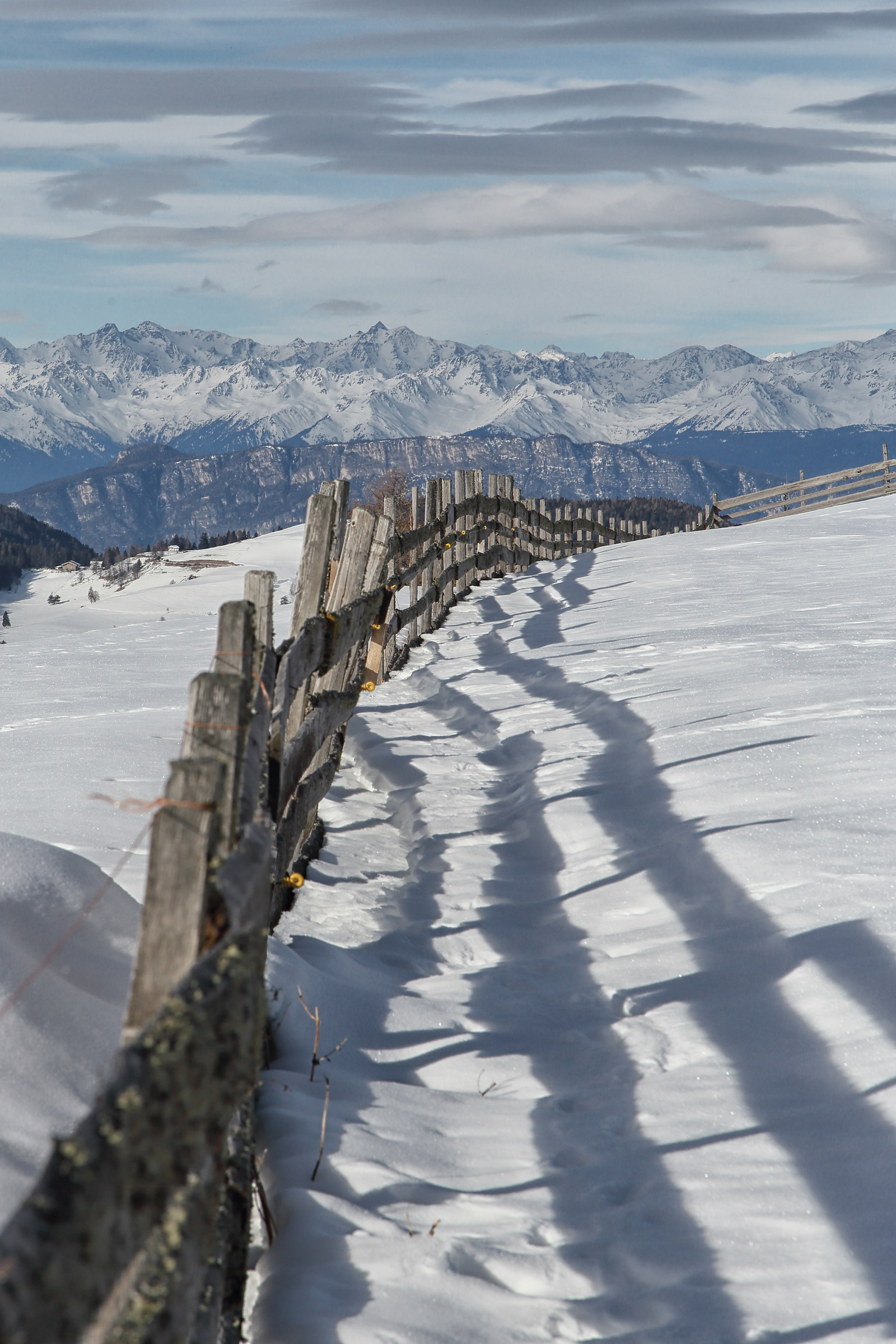 View on the Alps