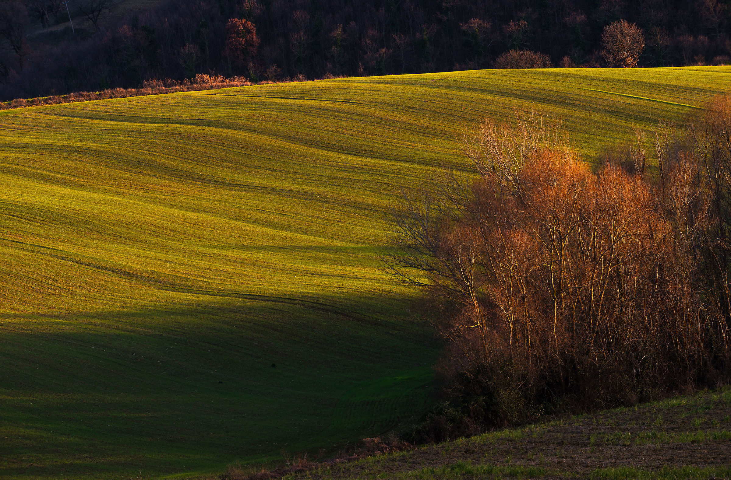 La Luce Trama nell'Ombra