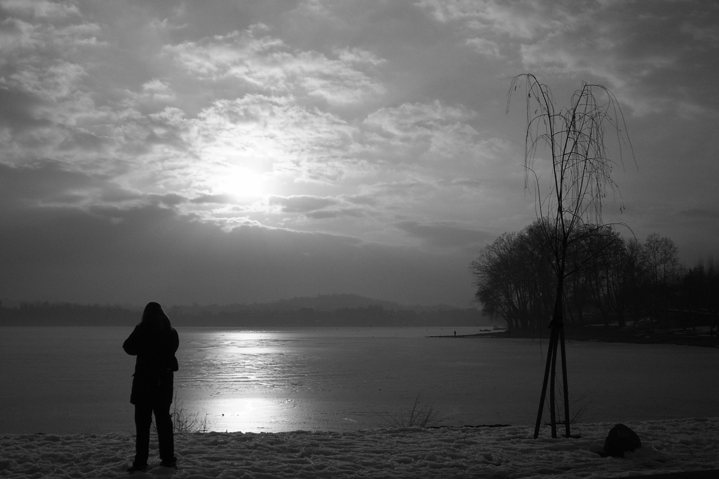 solitudine