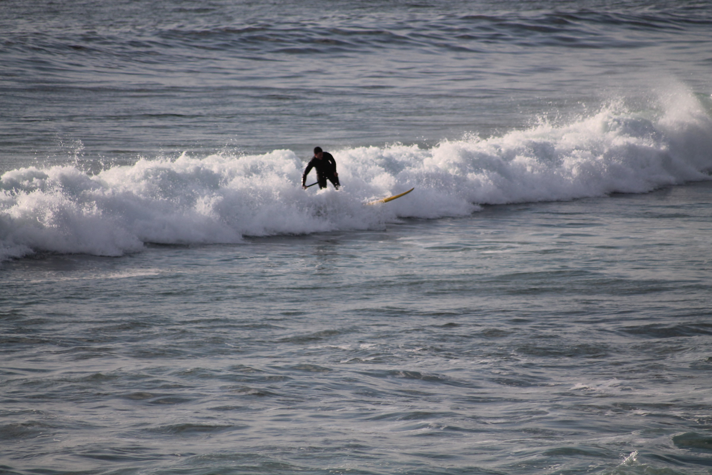 Foam