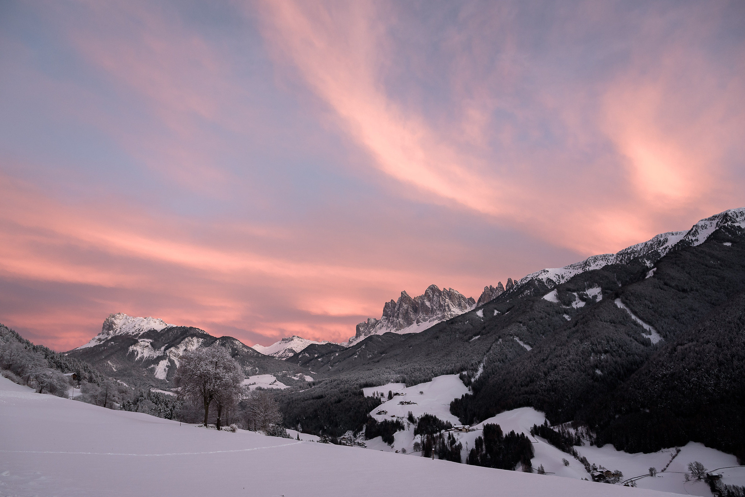 pink in the evening ...