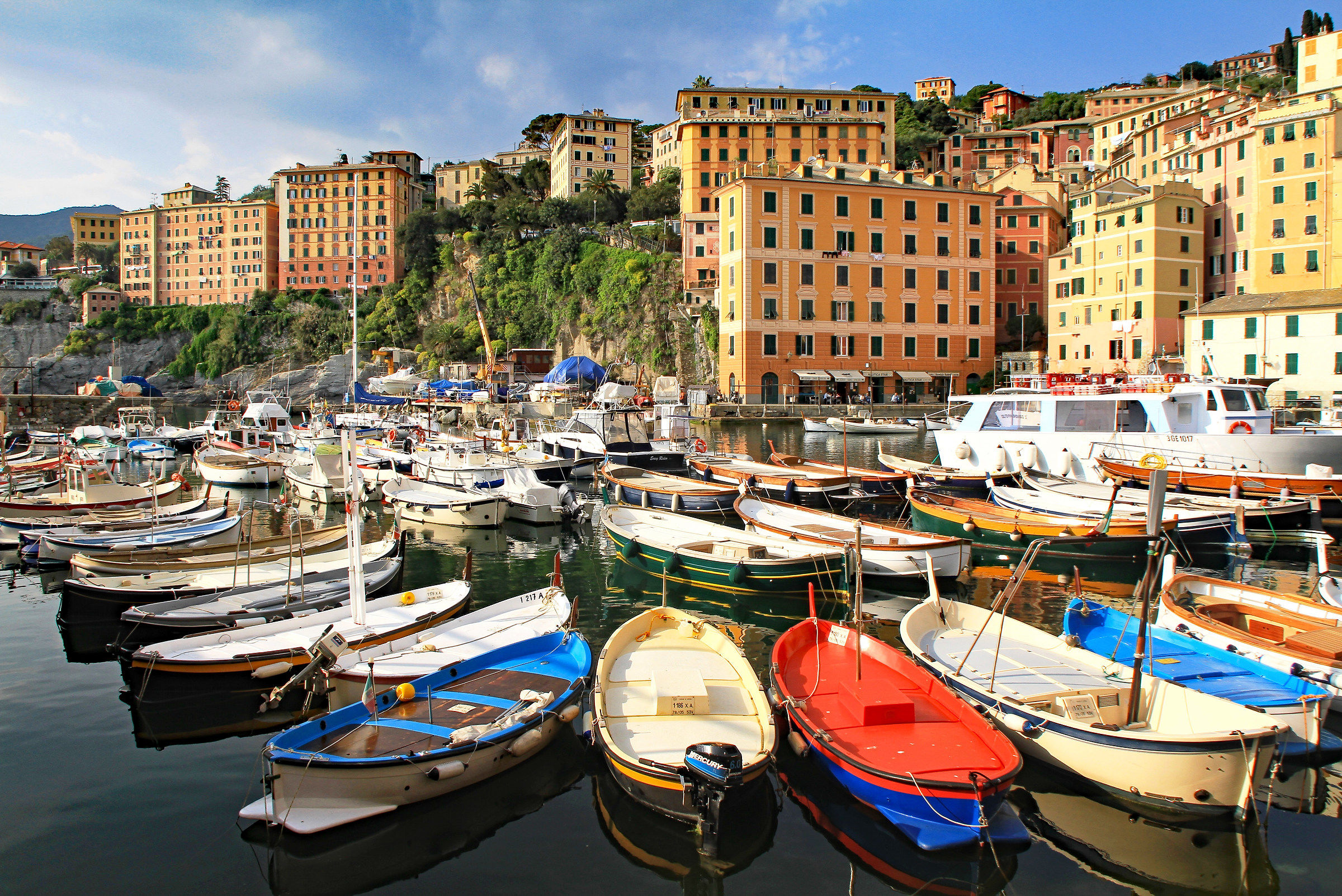 Camogli-2: Vista del porto