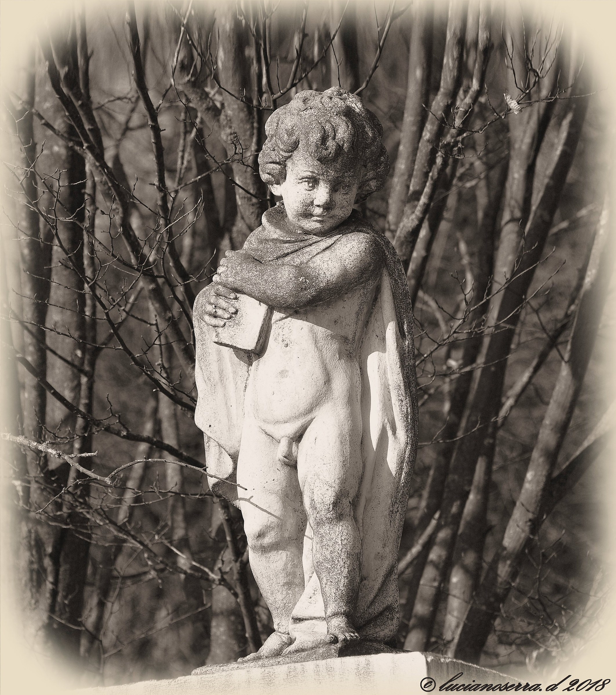 Putto con libro