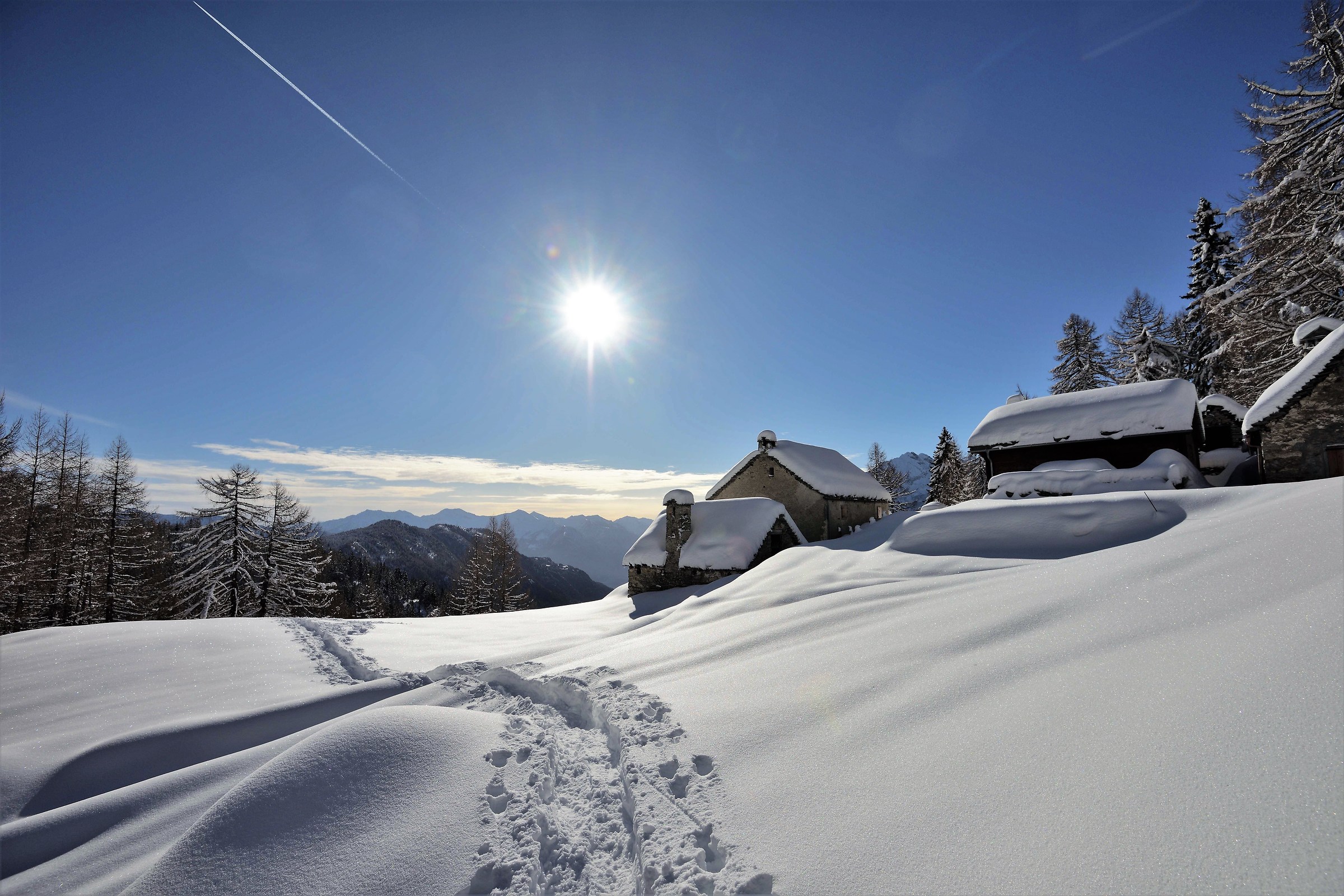 before arriving at the shelter