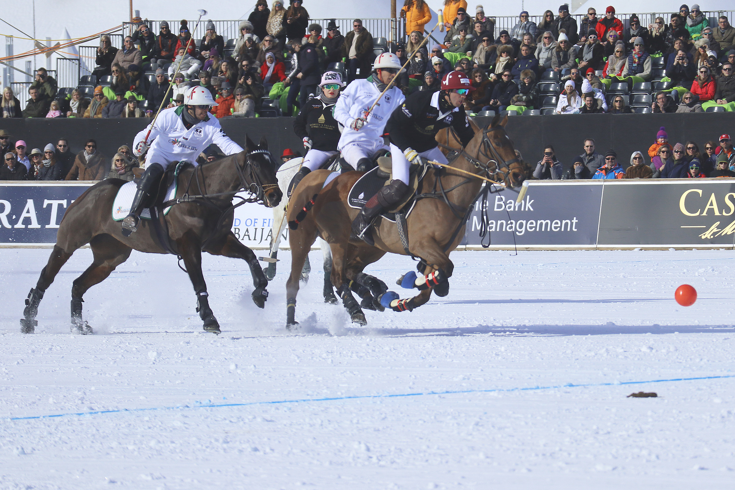 Polo sulla neve St Moritz