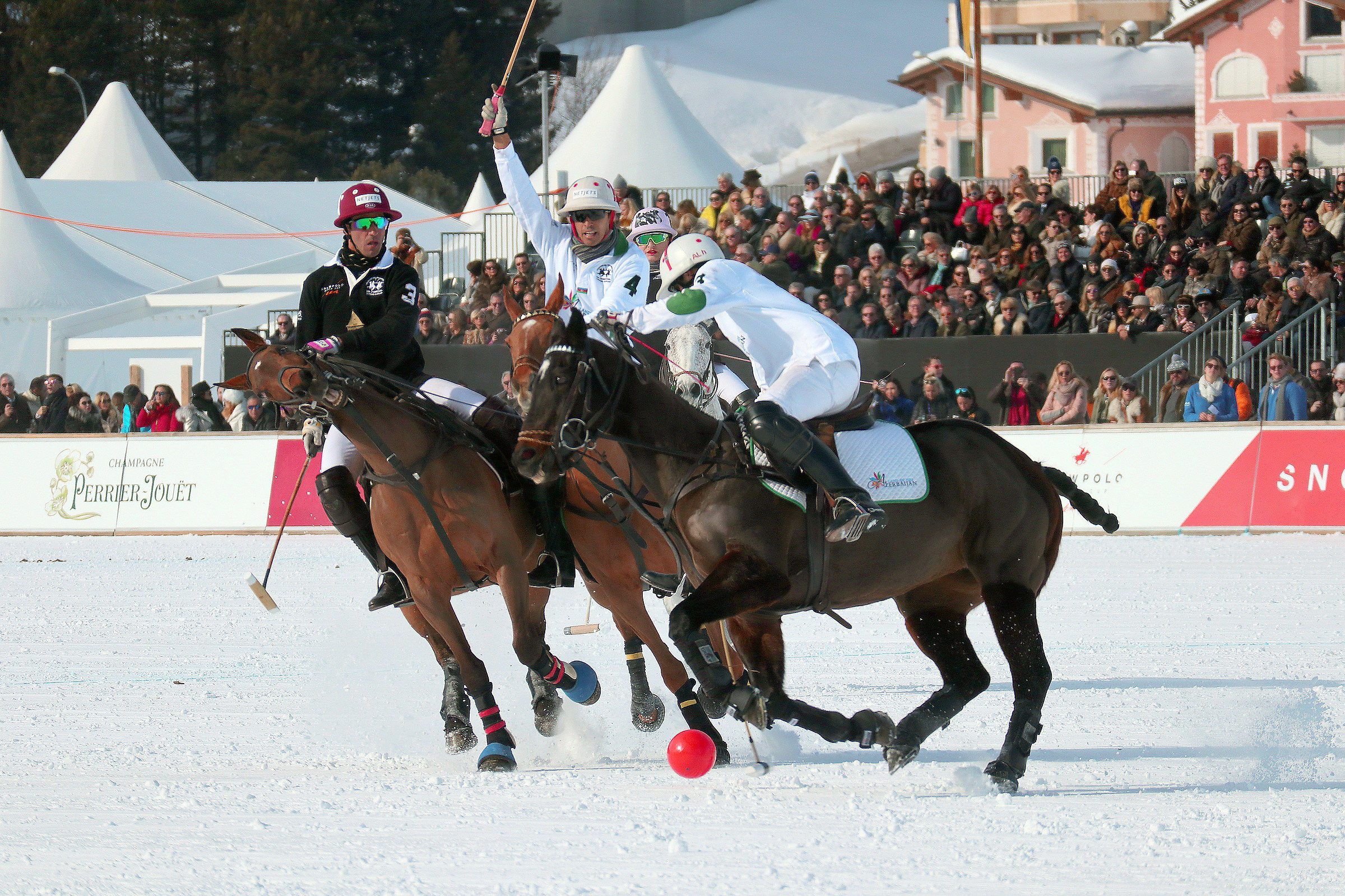 Polo on the snow
