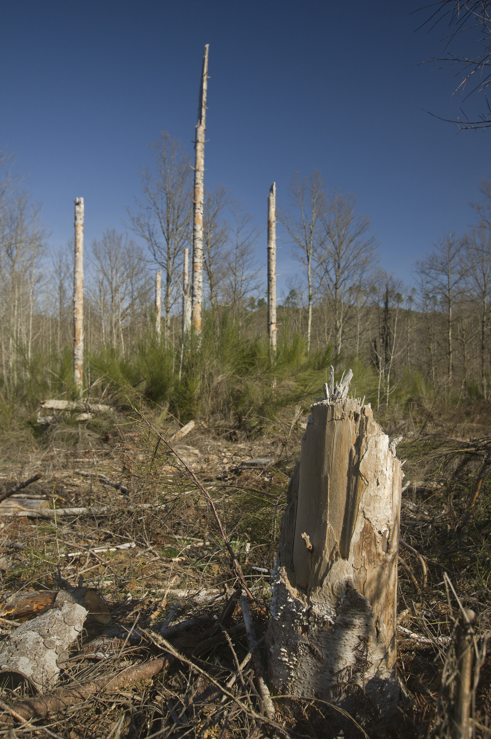 Da qui passò la tempesta 3