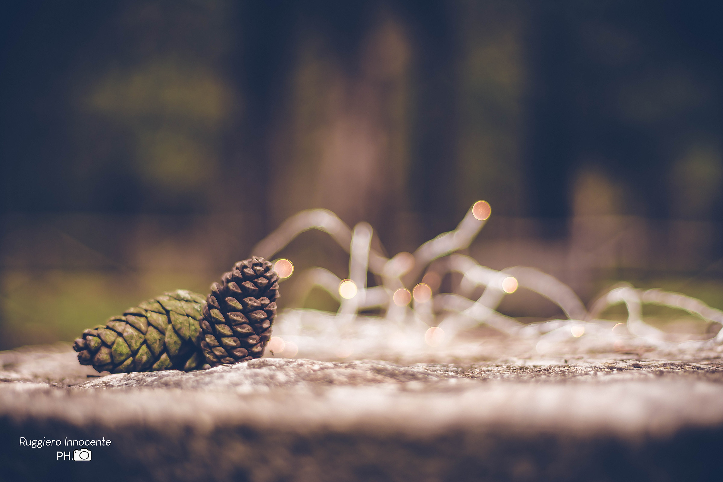 Pinecone% Bokeh