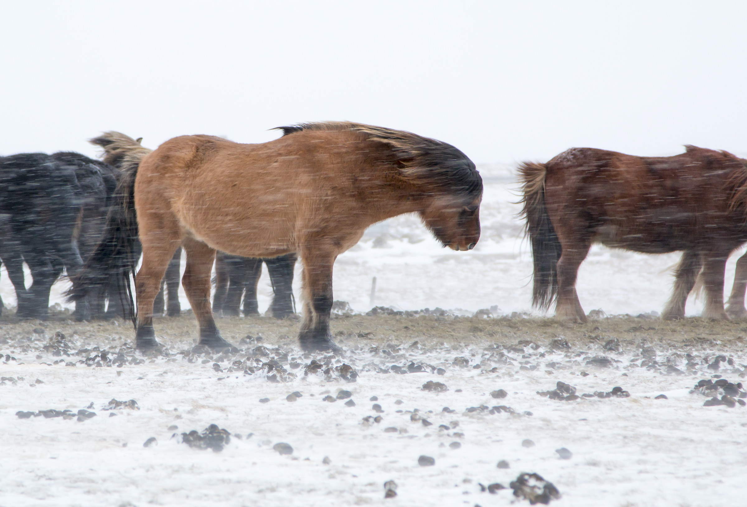 Normale quotidianità