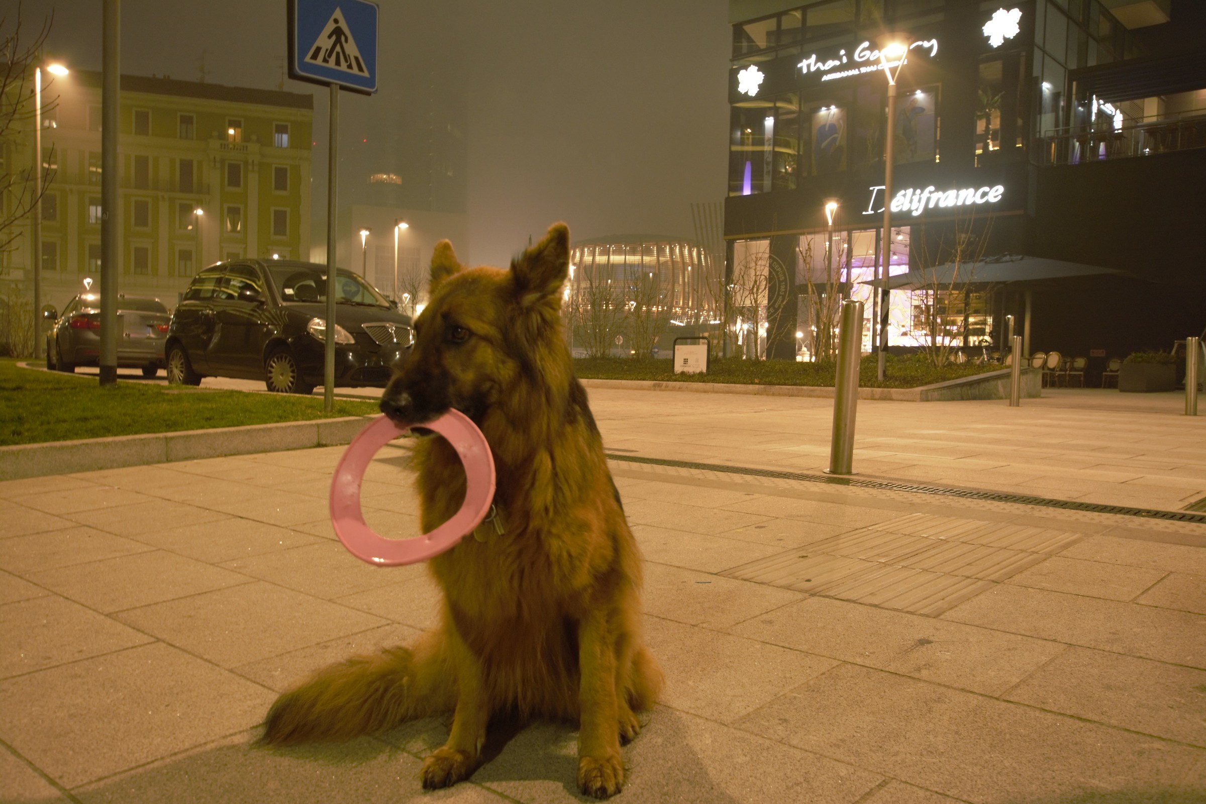 Do you let me play ????