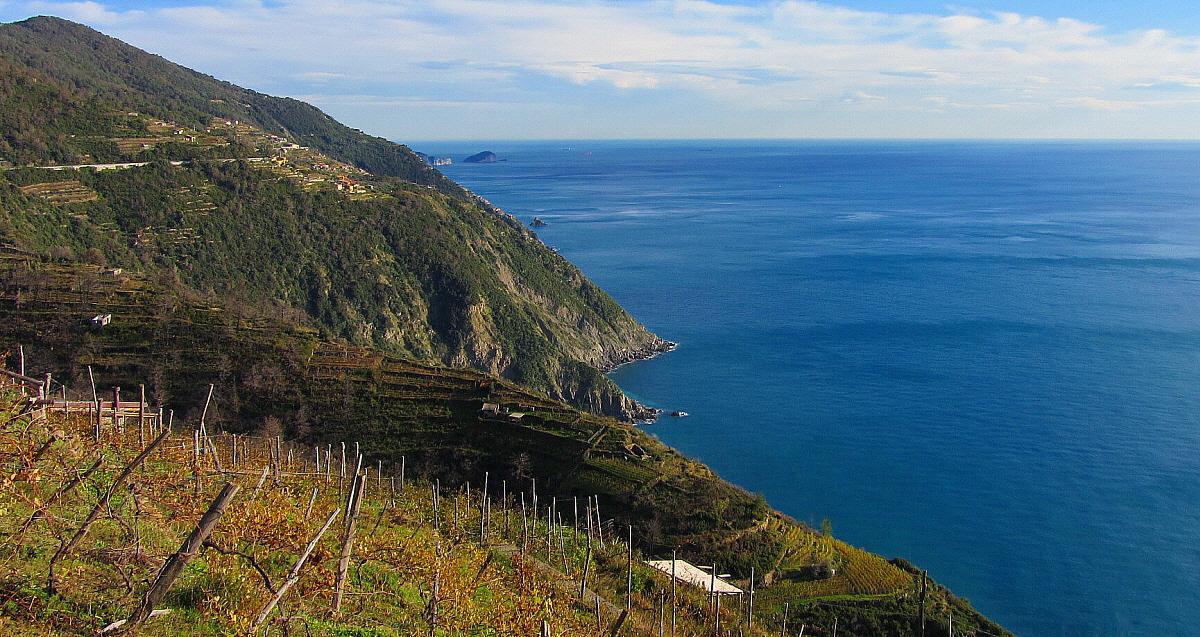 Da Montenero al Tino