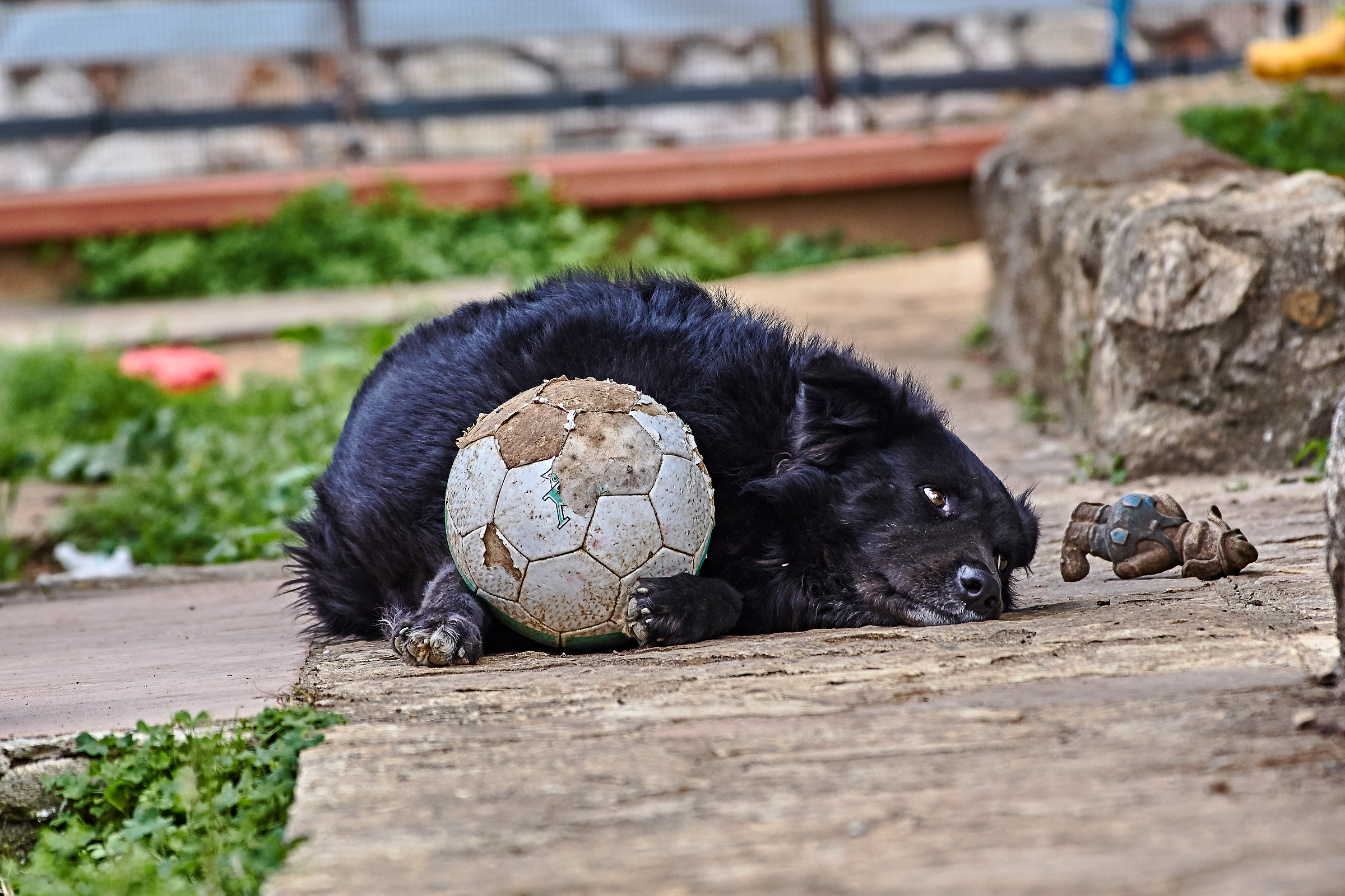 A great desire to play