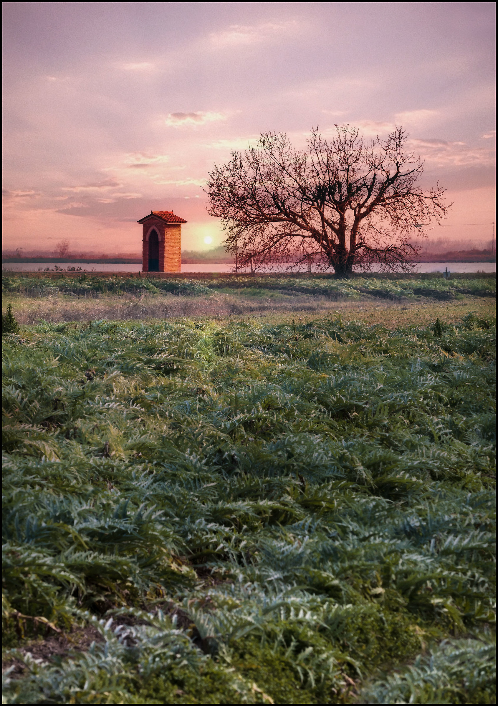 Il mio paese... Via Sparesera. Lio Piccolo.
