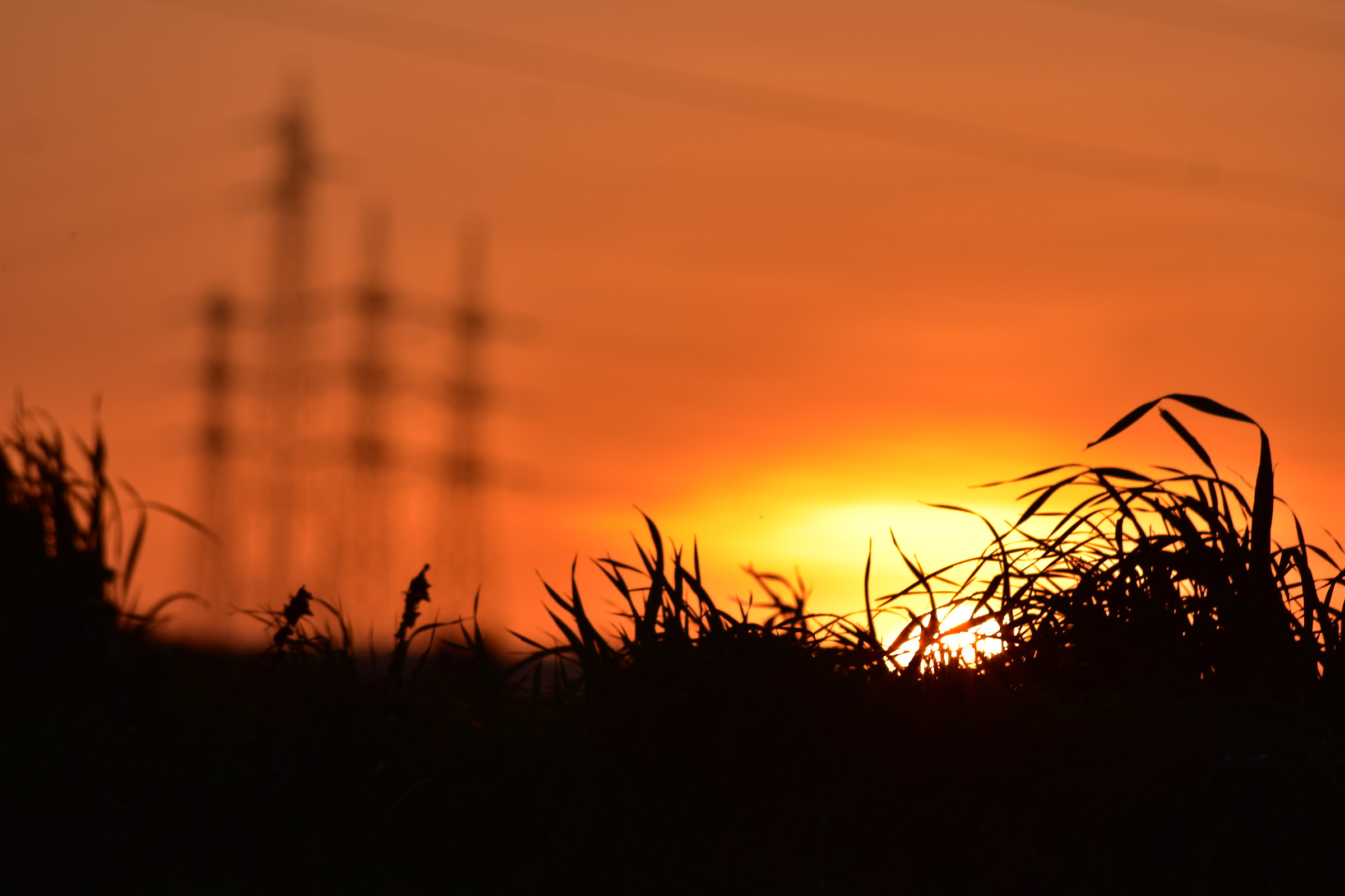 Tramonti metropolitani