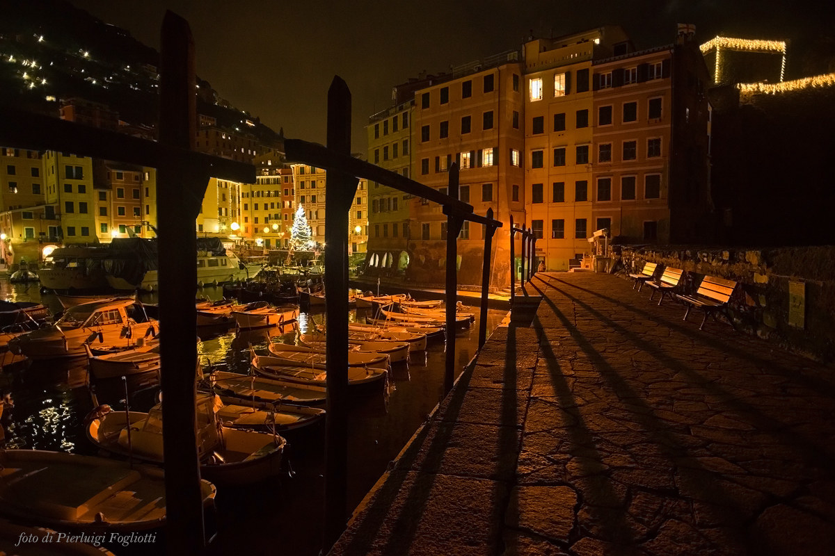 The port of Camogli at night