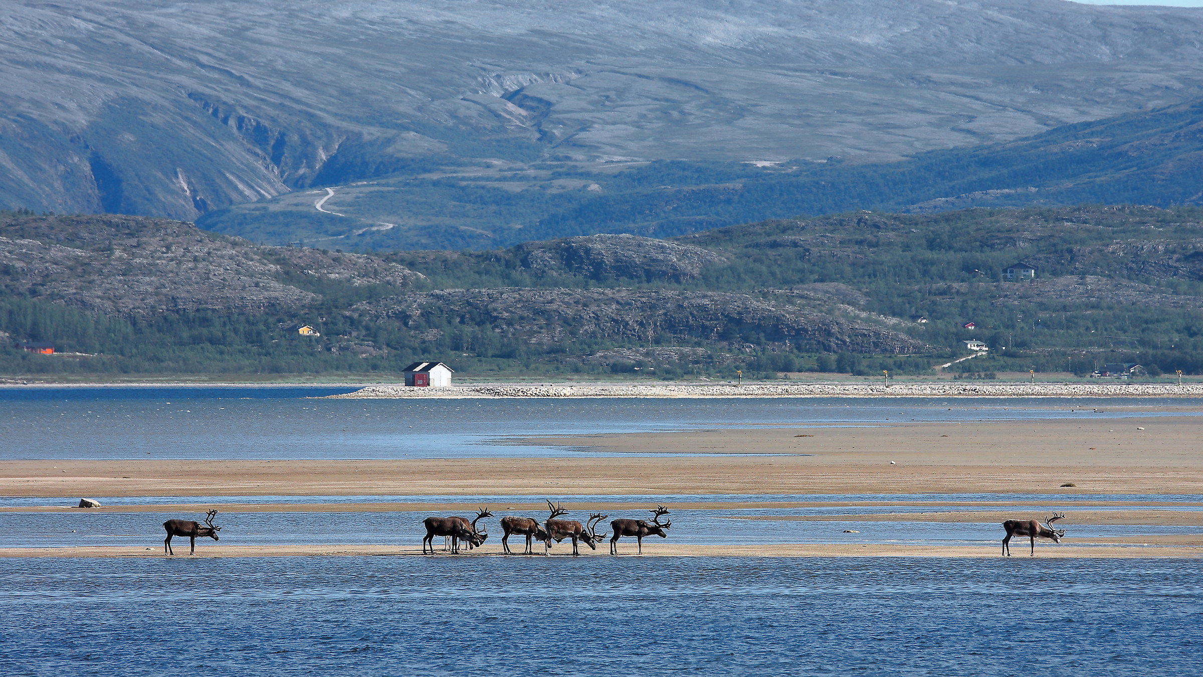 Waiting for the low tide
