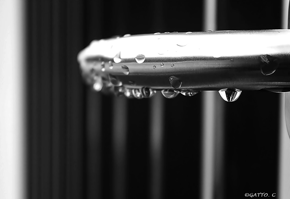 The drops