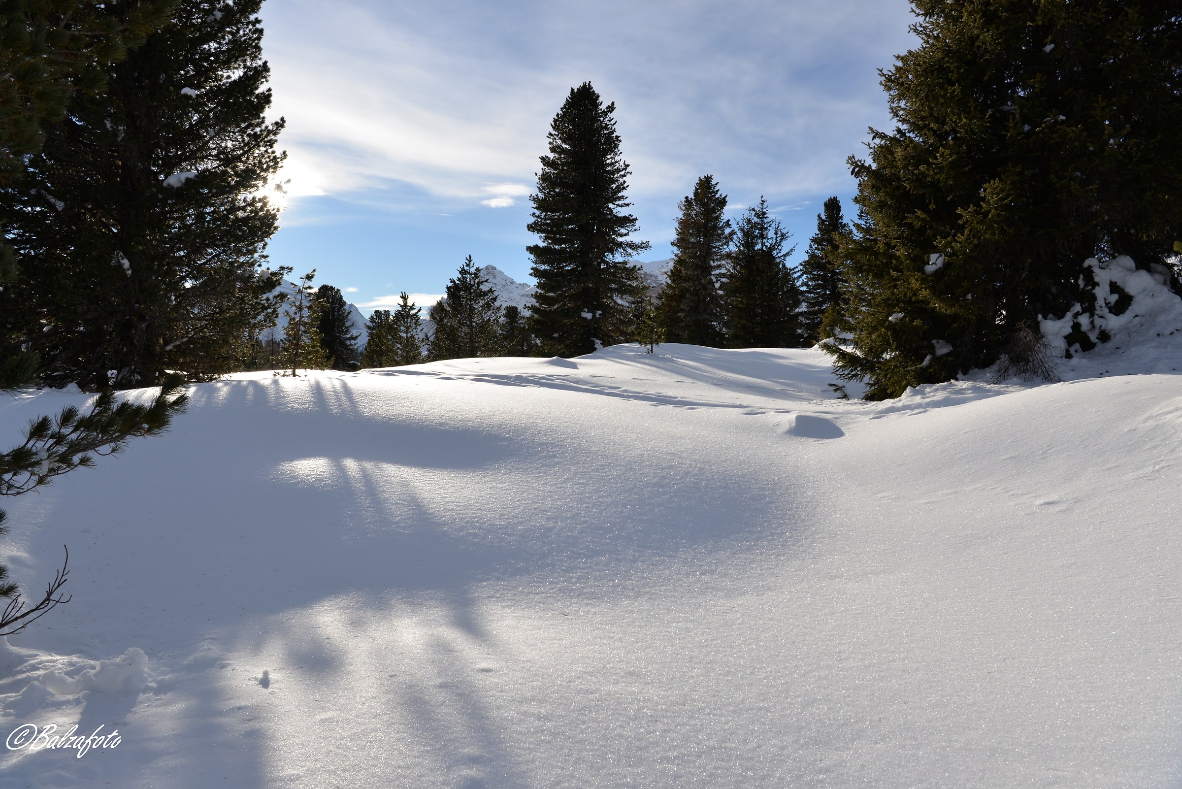 Fanes Natural Park - Sennes