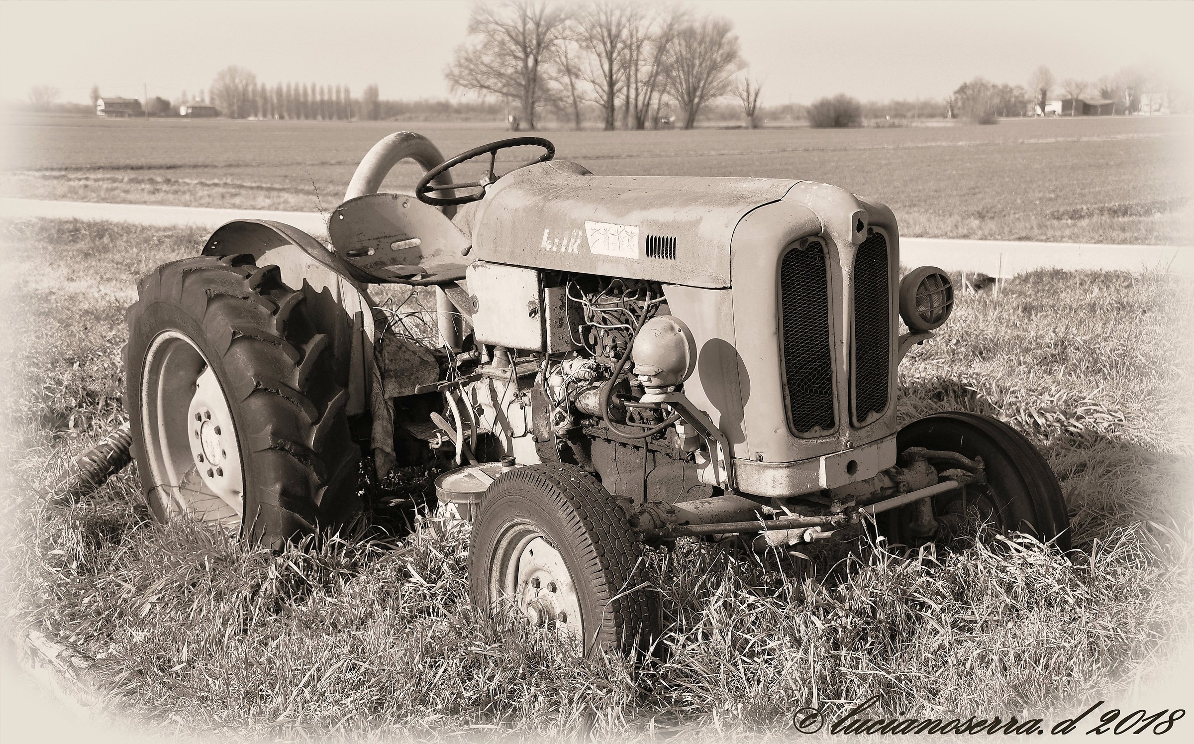 By dint of staying here still ... I'm putting the roots ...